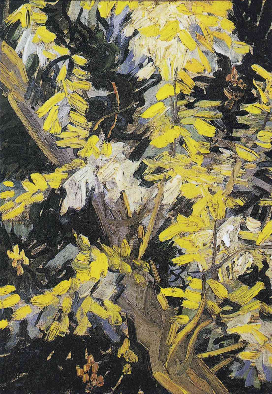Vibrant Yellow Blossom Tree Wall Art