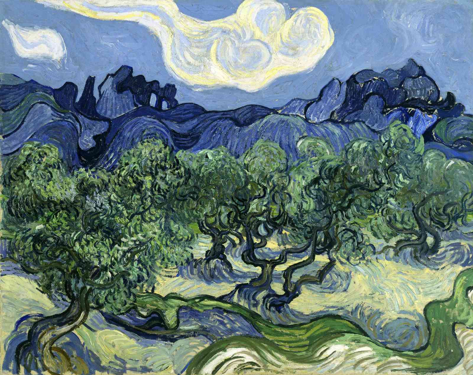 Van Gogh Olive Trees & Sky Wall Art