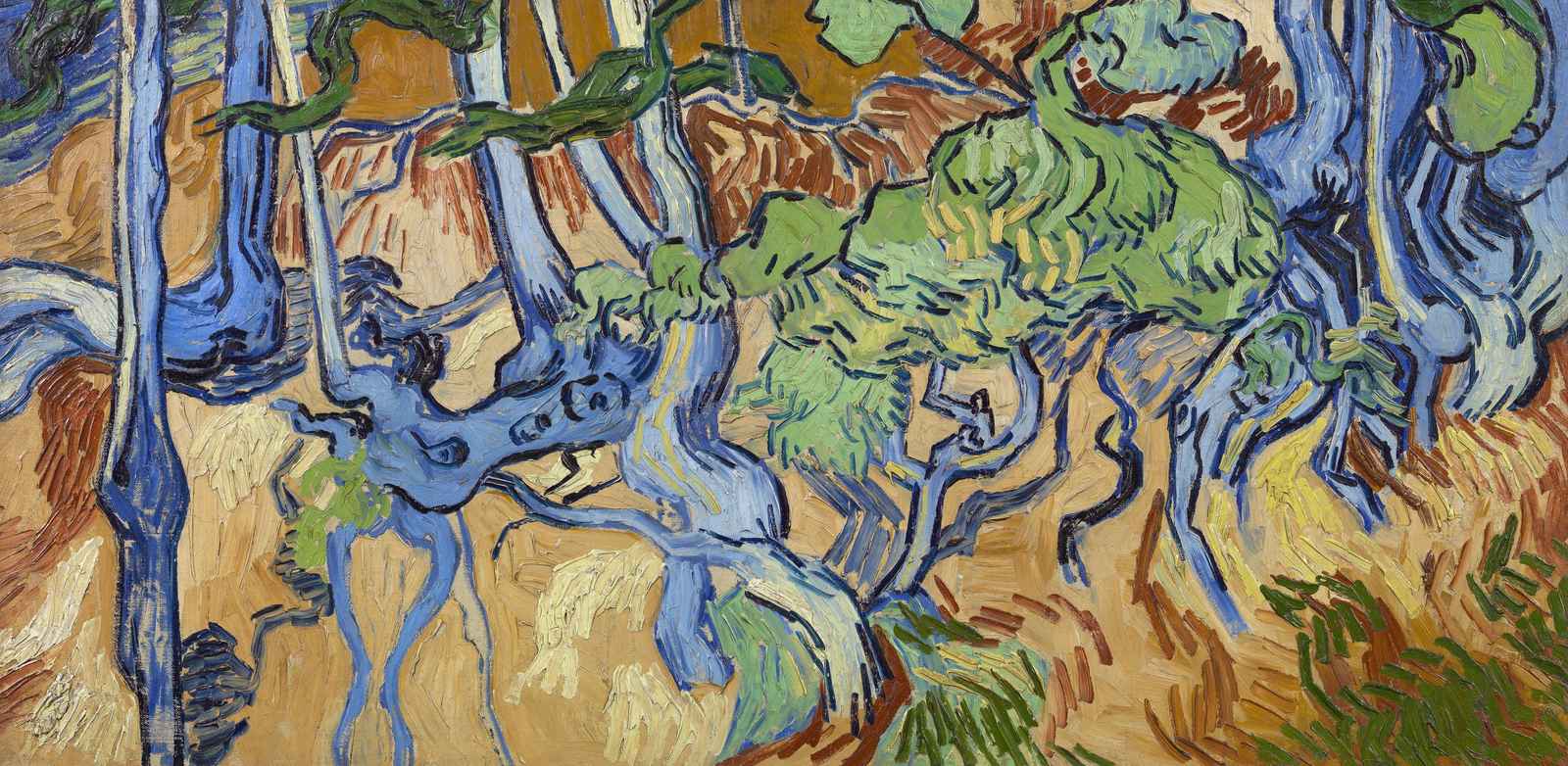Van Gogh Olive Grove Wall Art for Home Decor