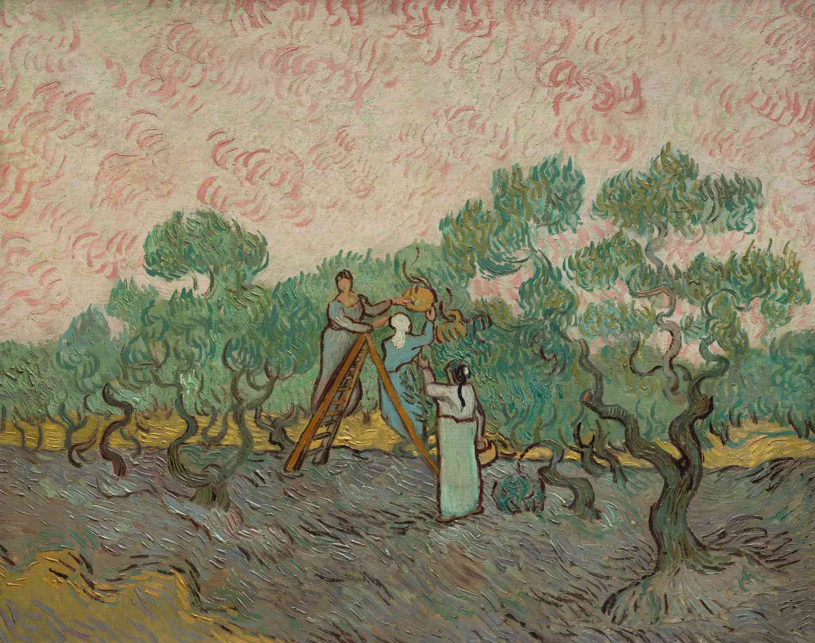 Van Gogh's Olive Harvest Wall Art