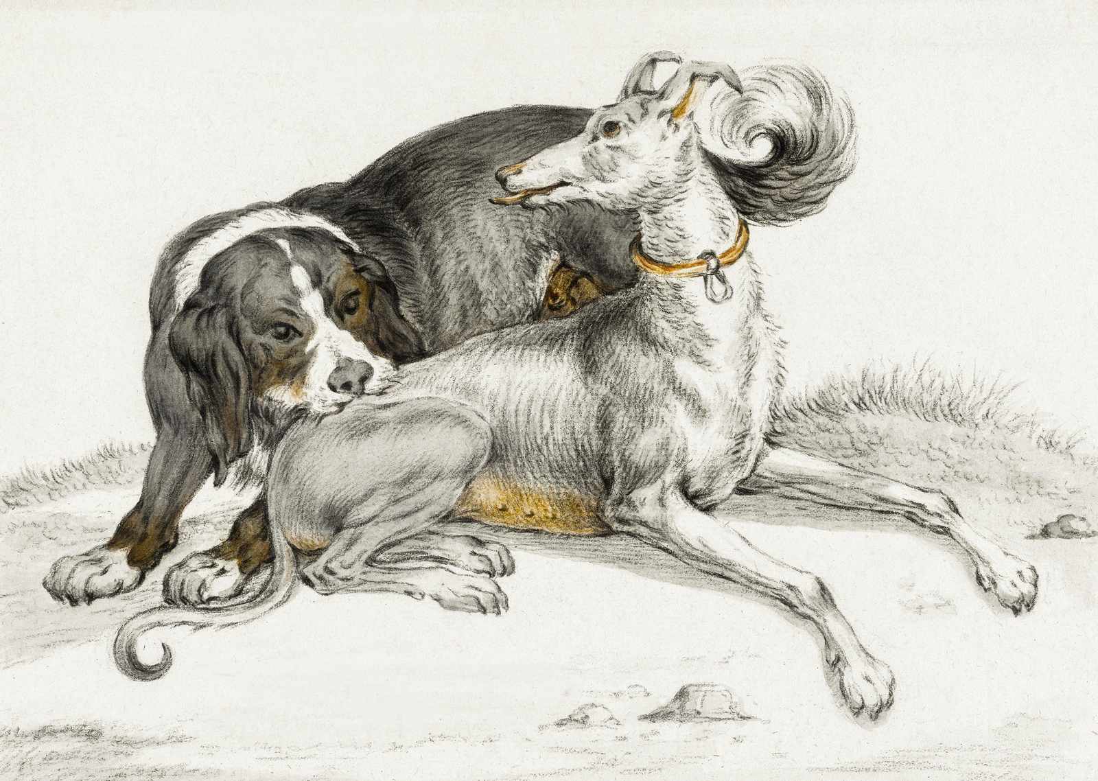 Elegant Dog Companions Vintage Art Wall Art