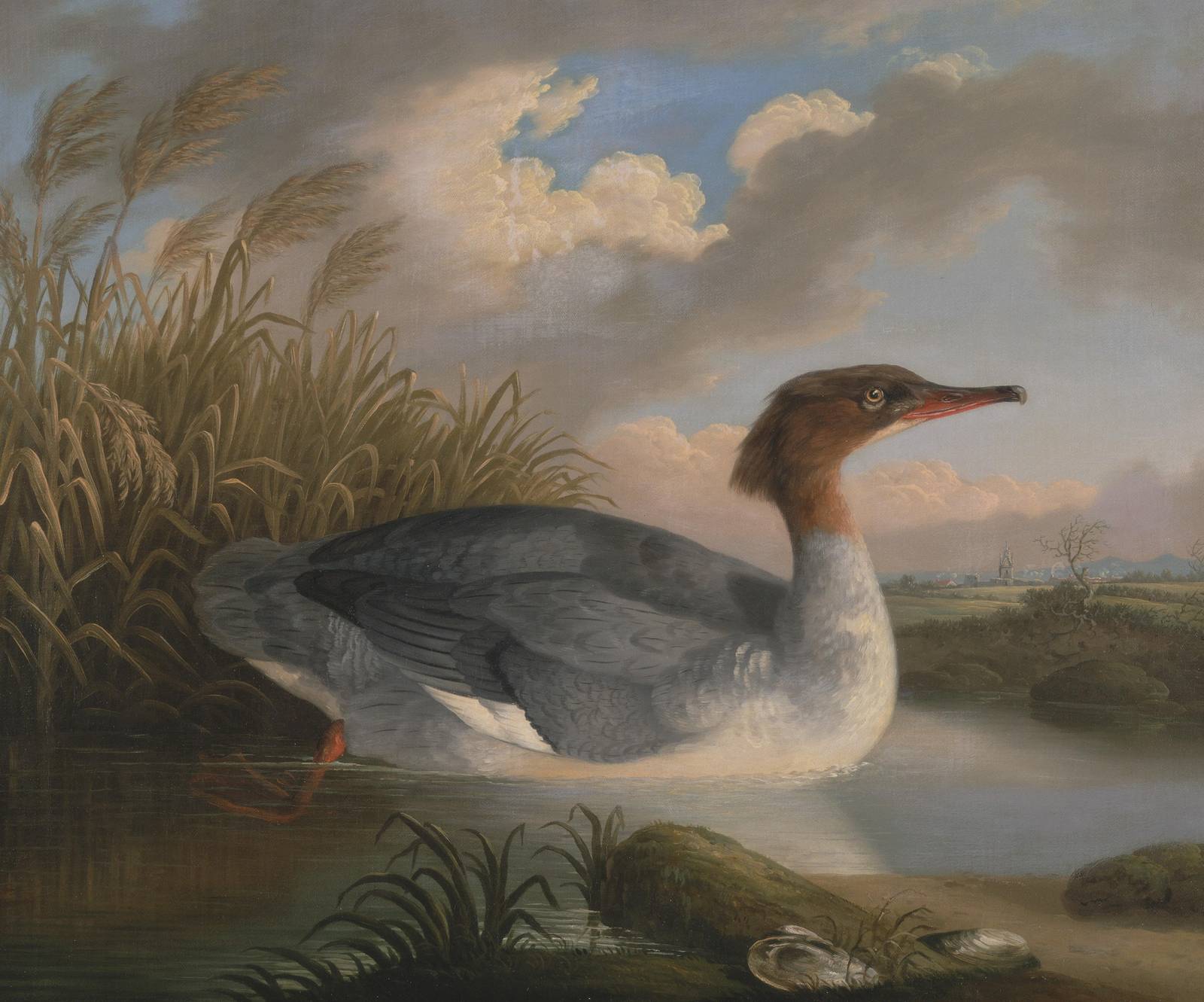 Serene Waters Duck Art Wall Art