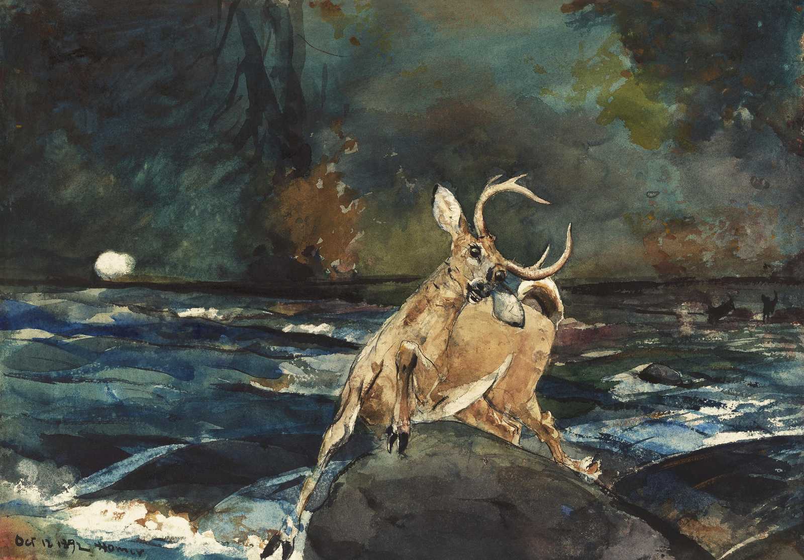 Dramatic Deer in Water Wall Art | Wildlife Art