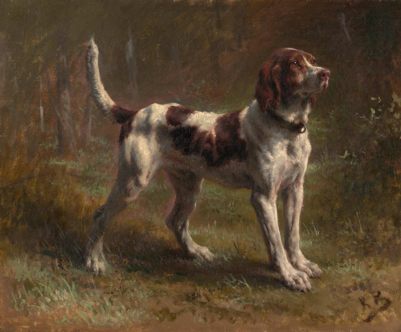 Elegant Hunting Dog Portrait Wall Art