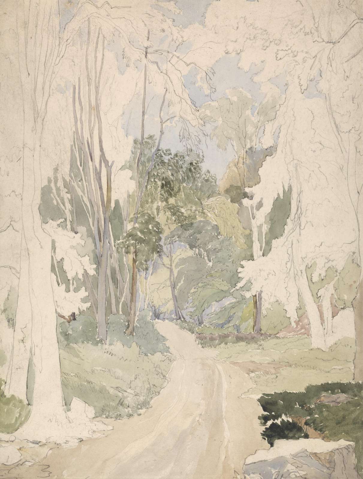 Serene Woodland Path Watercolor Wall Art