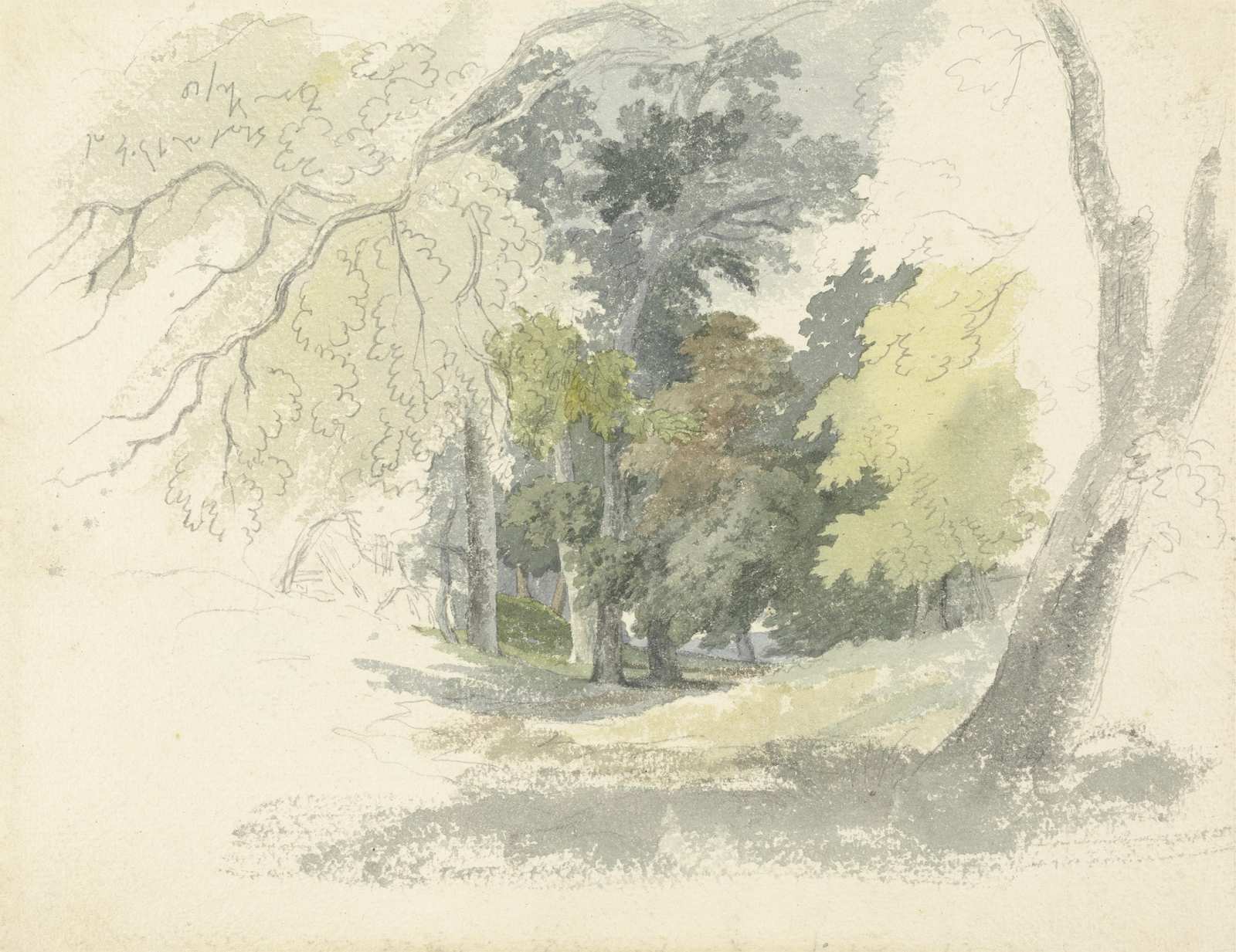 Enchanting Woodland Path Watercolor Wall Art