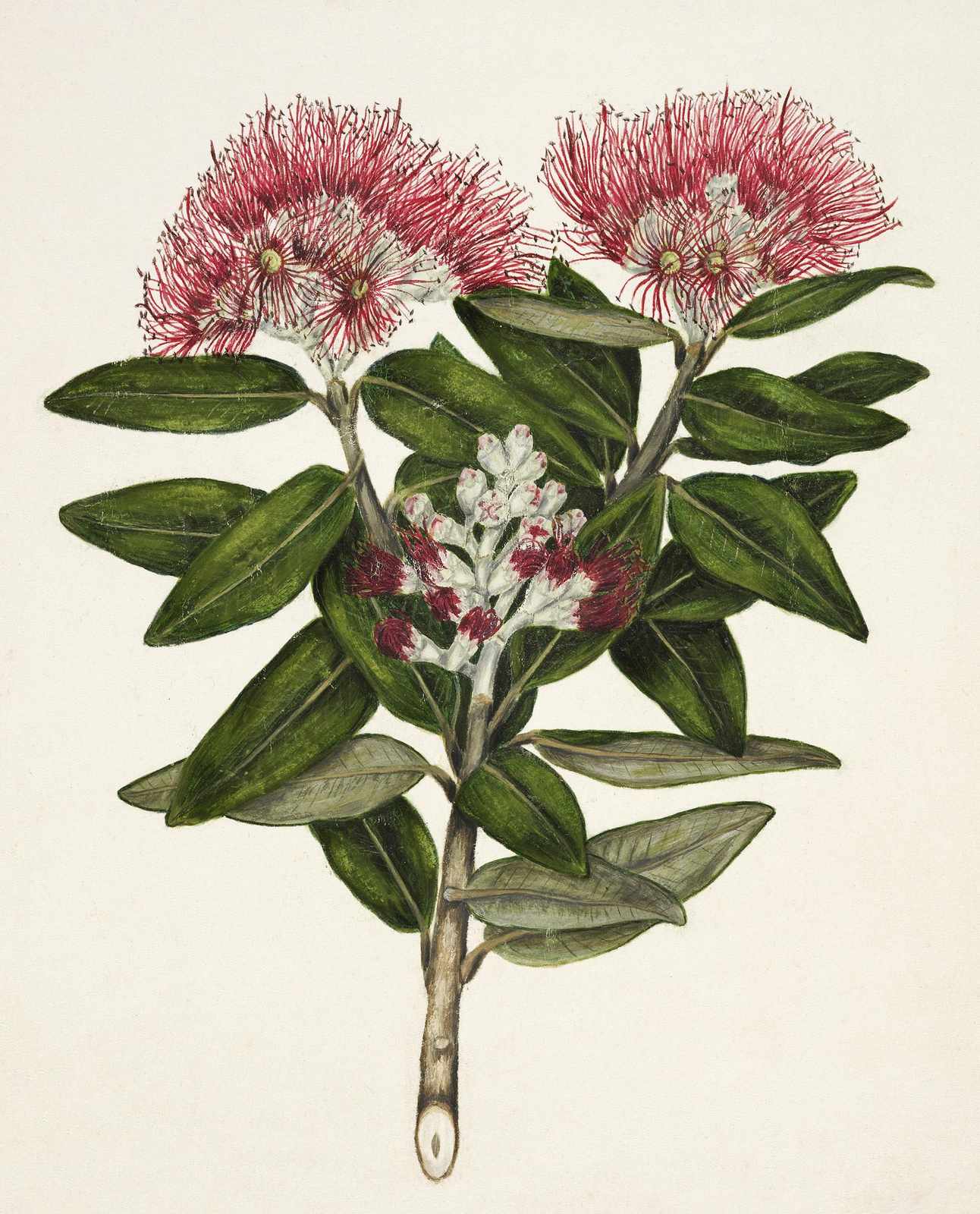 Botanical Red & Green Floral Art Wall Art