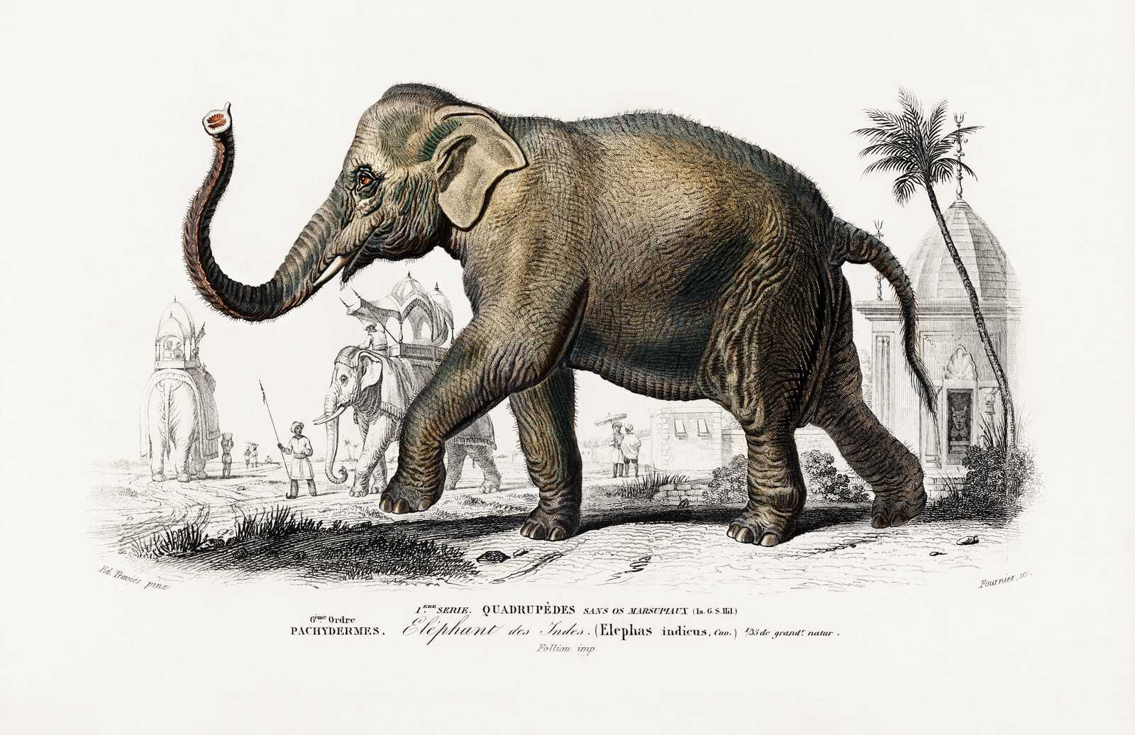 Vintage Elephant Procession Indian Wall Art
