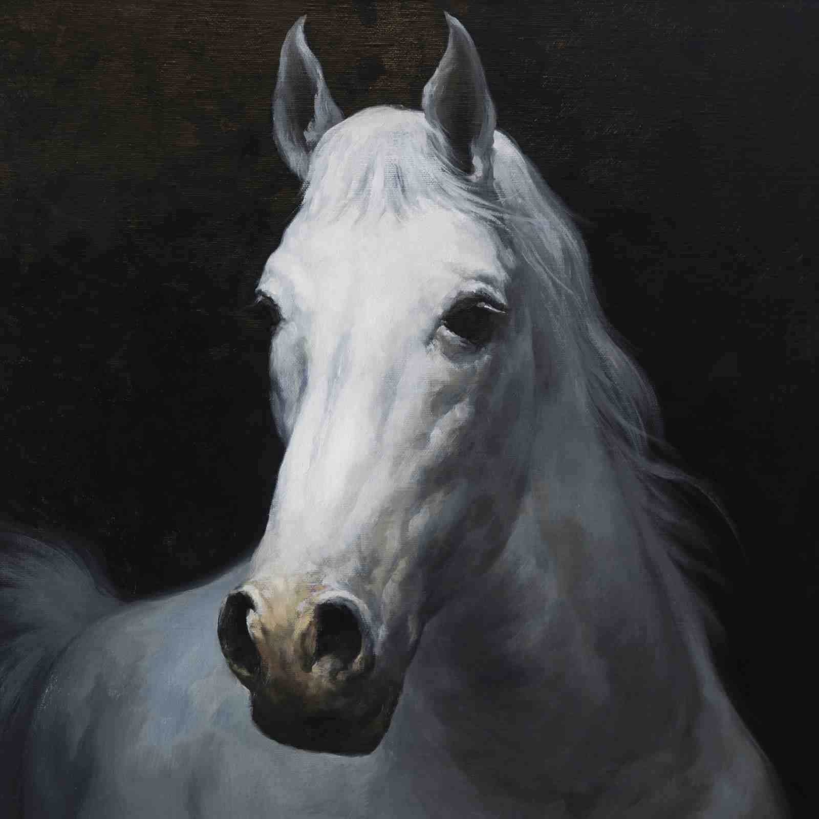 Majestic White Horse Portrait Wall Art
