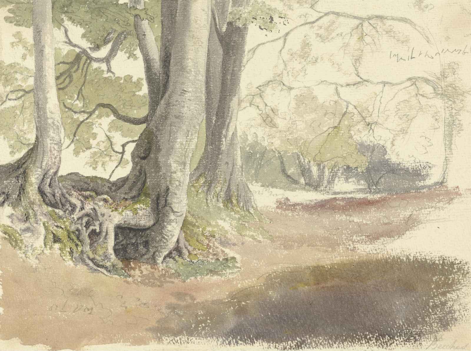 Serene Forest Path Wall Art
