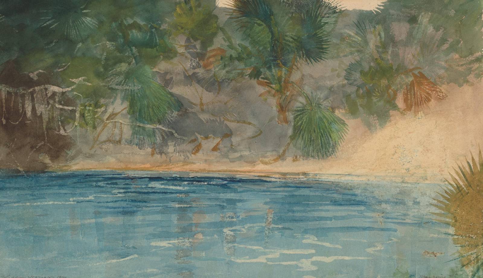 Tranquil Tropical Beach Palm Wall Art
