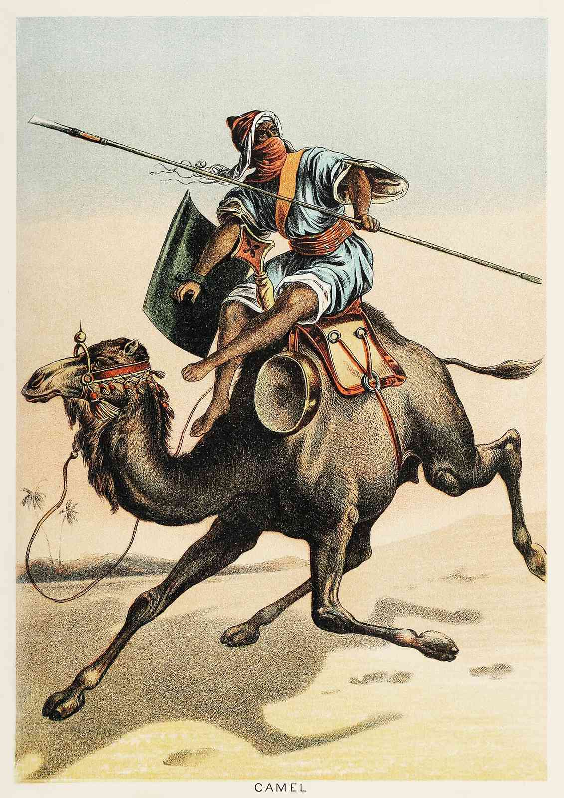Desert Warrior Camel Rider Wall Art