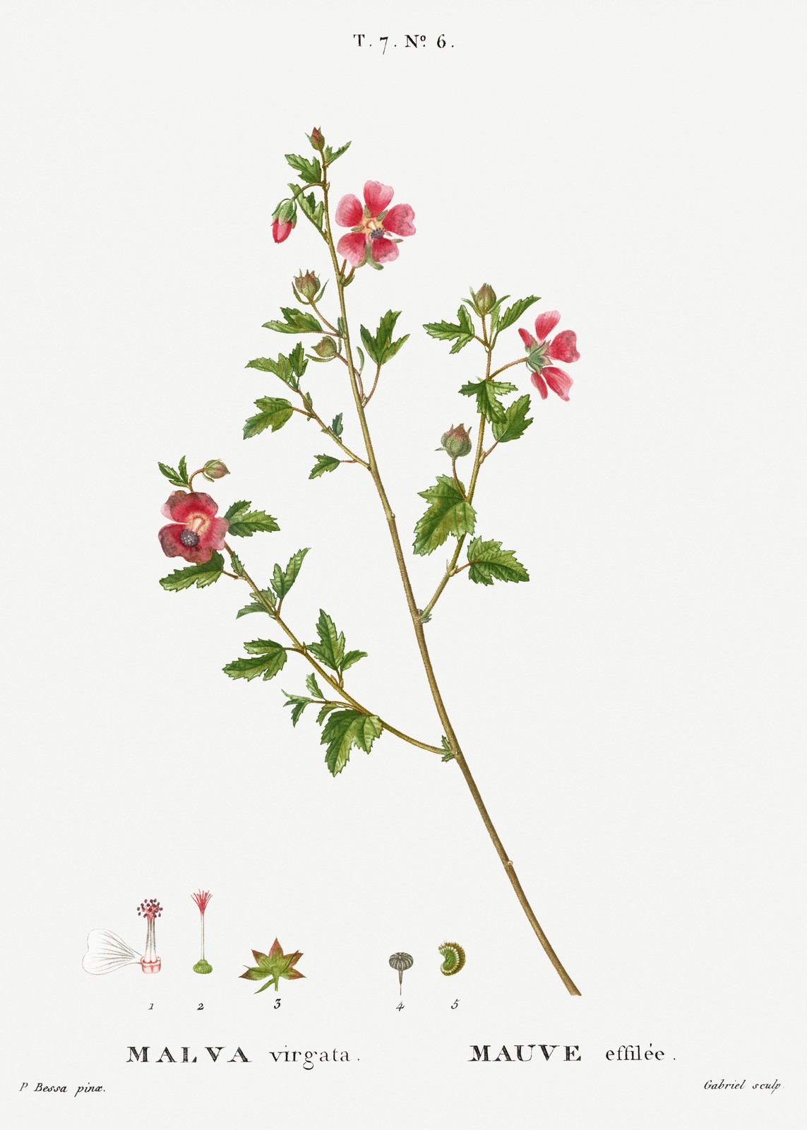 Vintage Malva Virta Wall Art