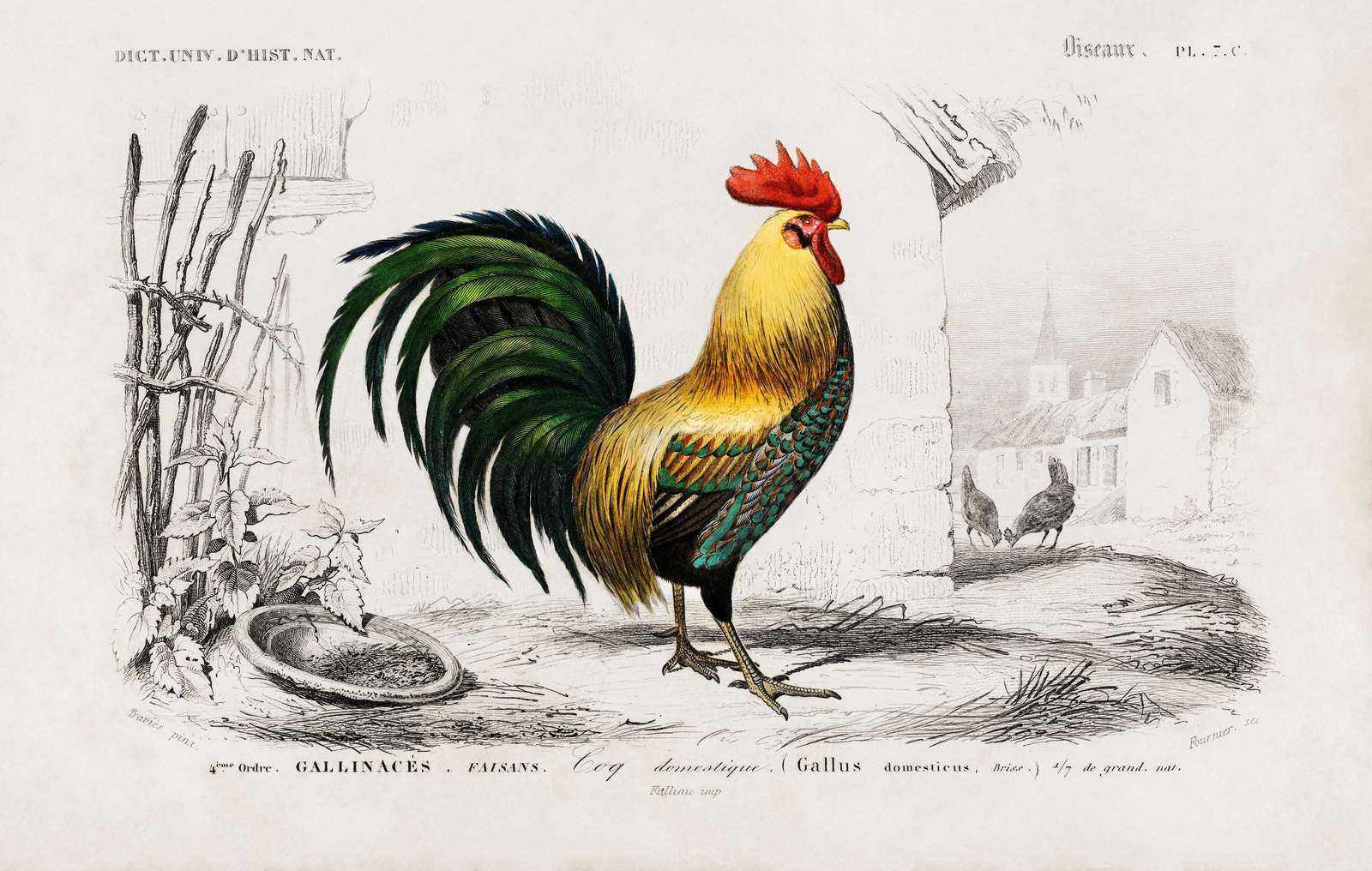 Vintage Rooster & Farmhouse Scene Wall Art