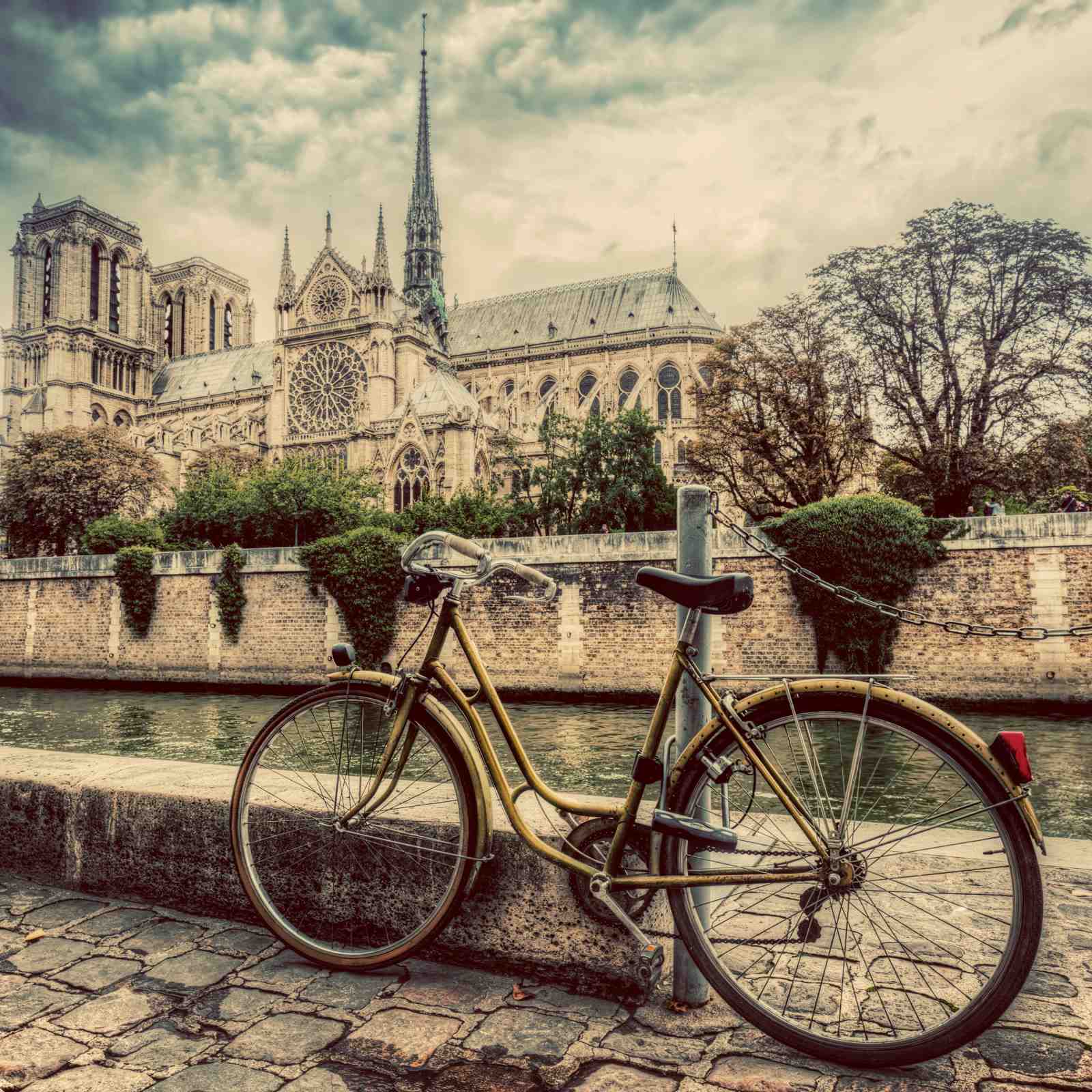 Parisian Dream: Notre Dame & Bicycle Wall Art