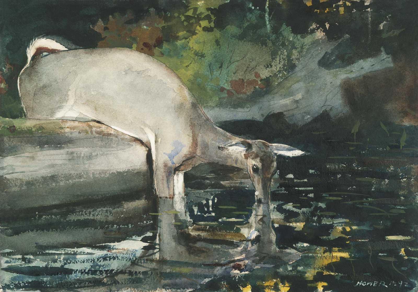 Serene Deer Drinking Watercolor Wall Art