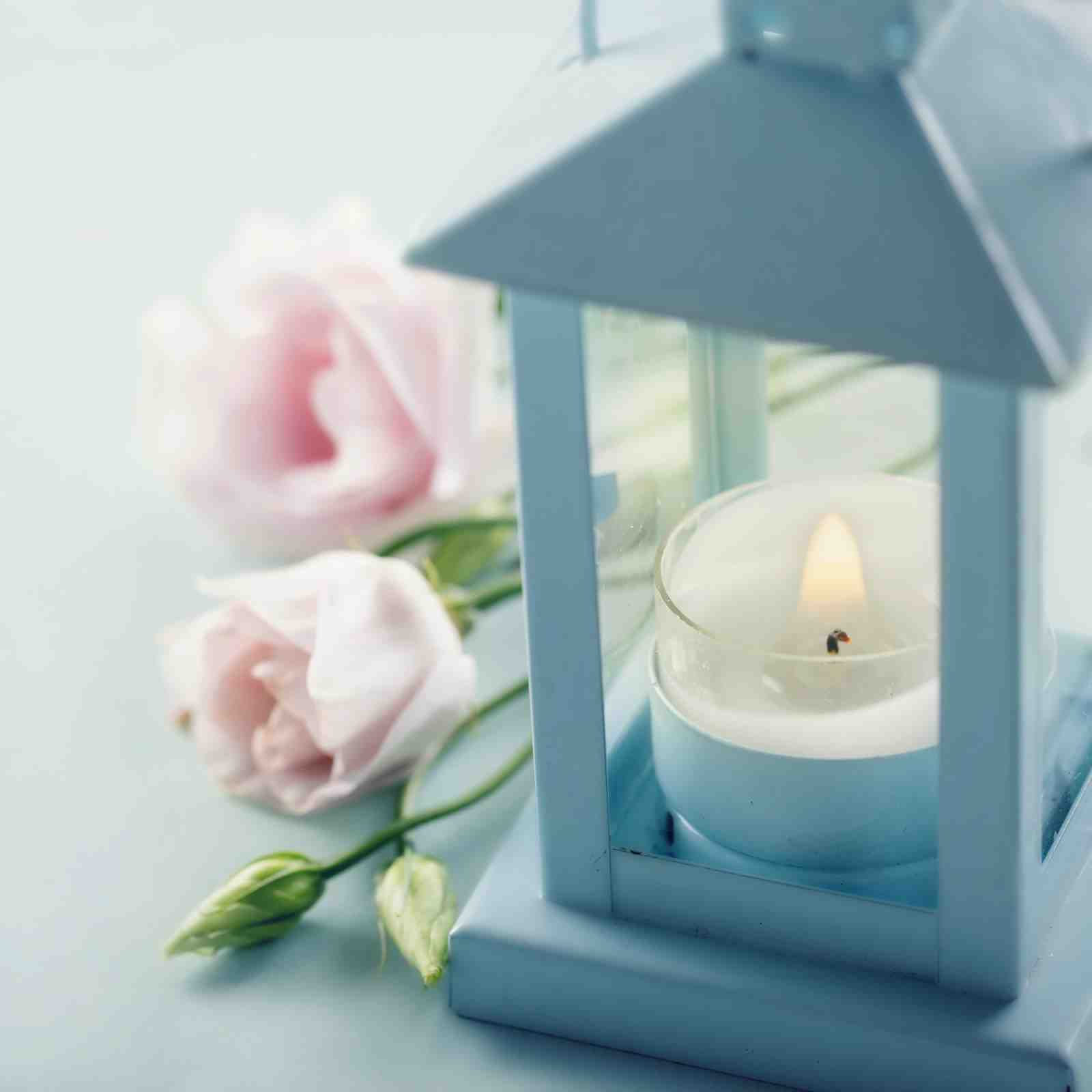 Serene Pastel Blossom Candle Lantern Wall Art