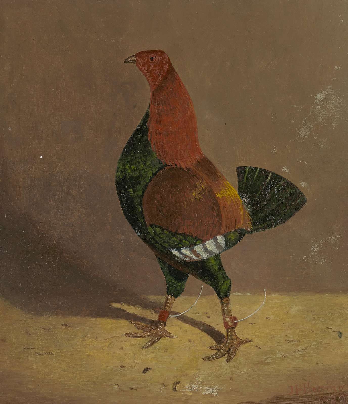 Vintage Rooster Art Wall Art