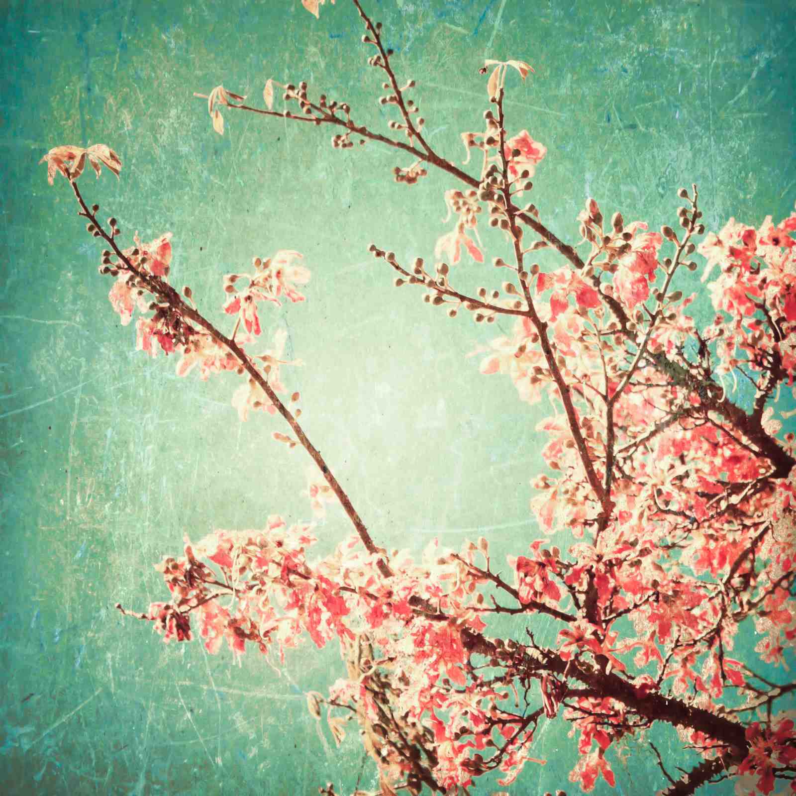 Vintage Peach Blossom Teal Sky Wall Art