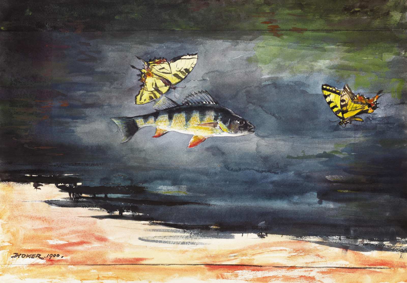 Perch and Butterflies Nature Art Wall Art
