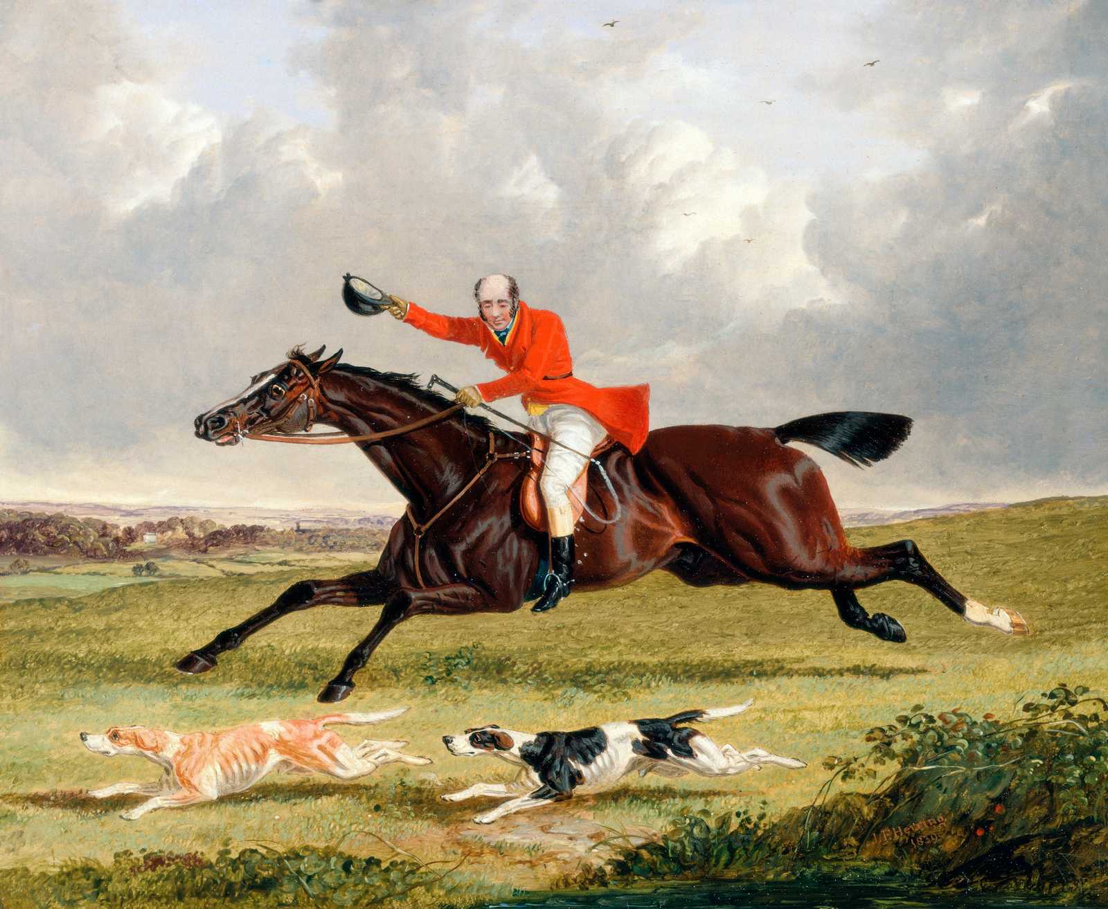 Vibrant Fox Hunt Horse & Dogs Wall Art