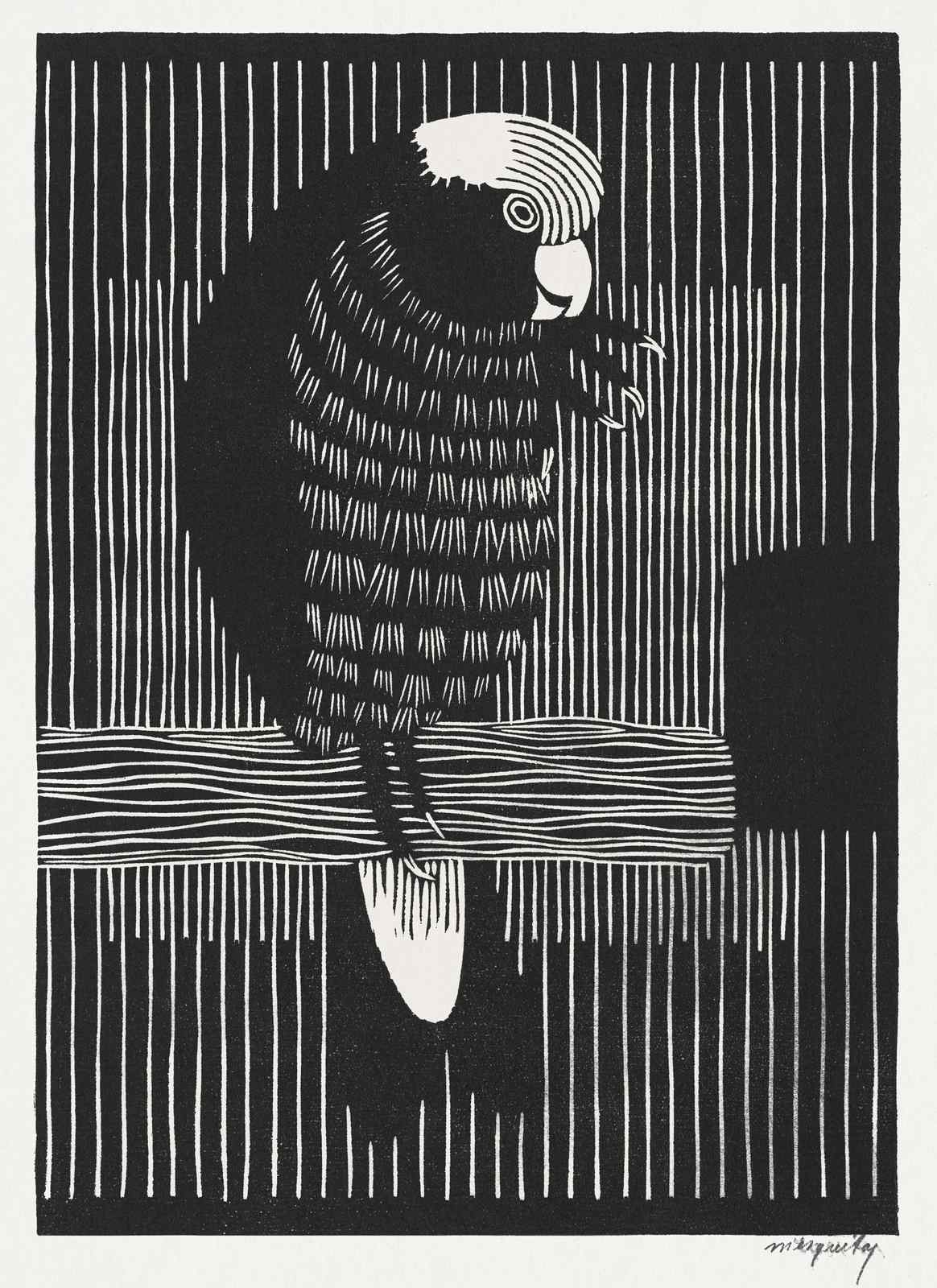 Bold Black Parrot Art Print - Bird Wall Art
