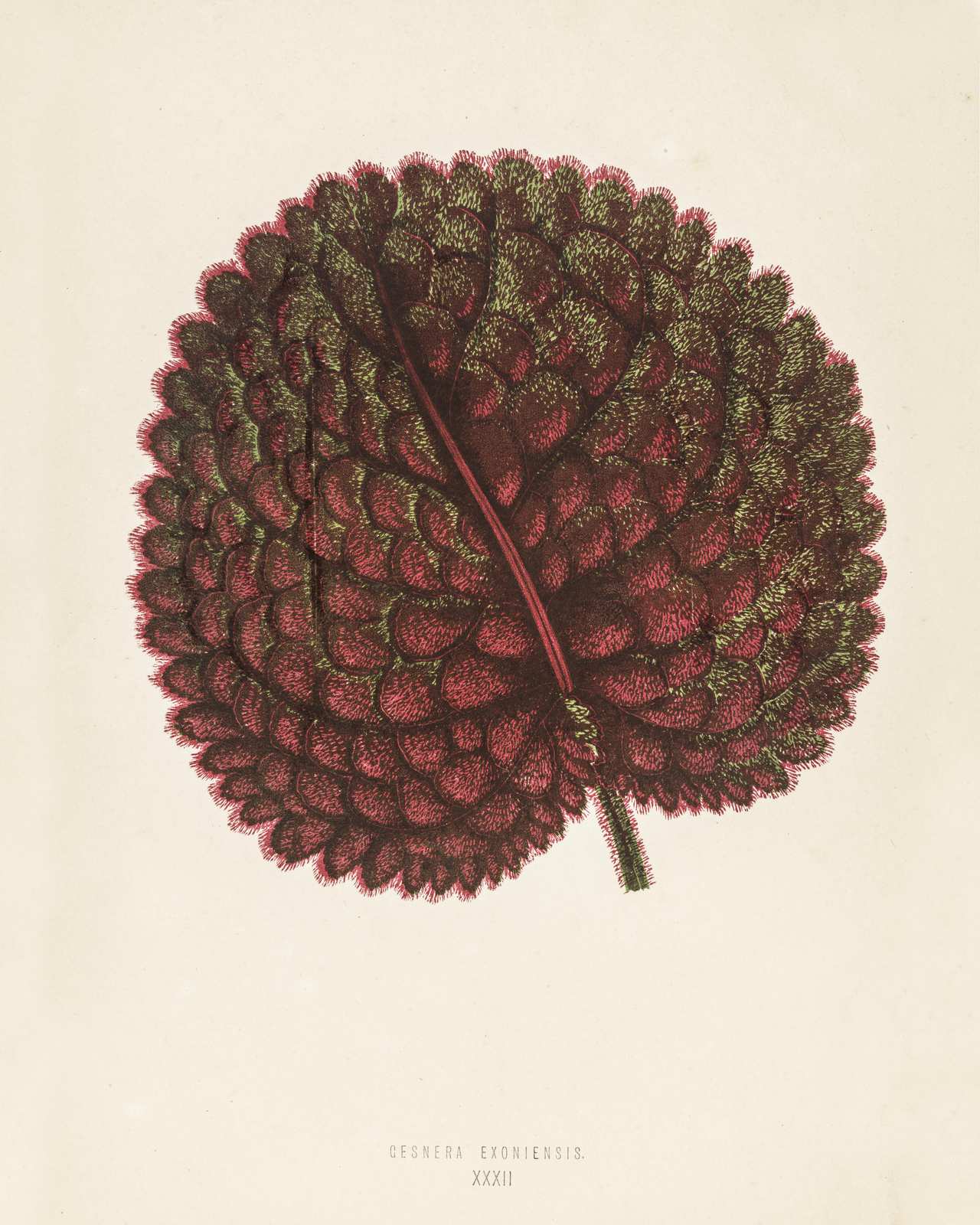 Vintage Botanical Leaf Wall Art