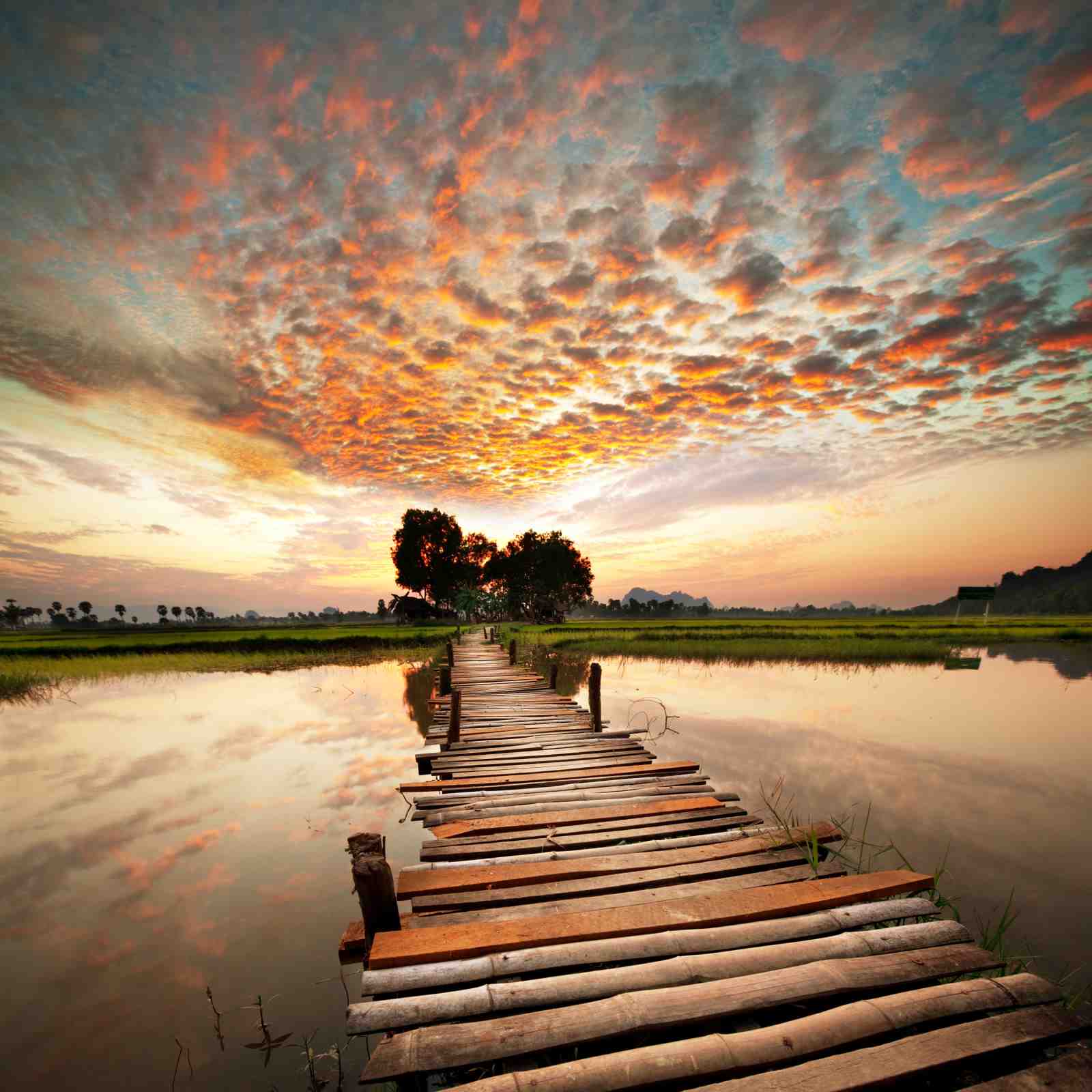 Tranquil Sunrise Pier Landscape Wall Art