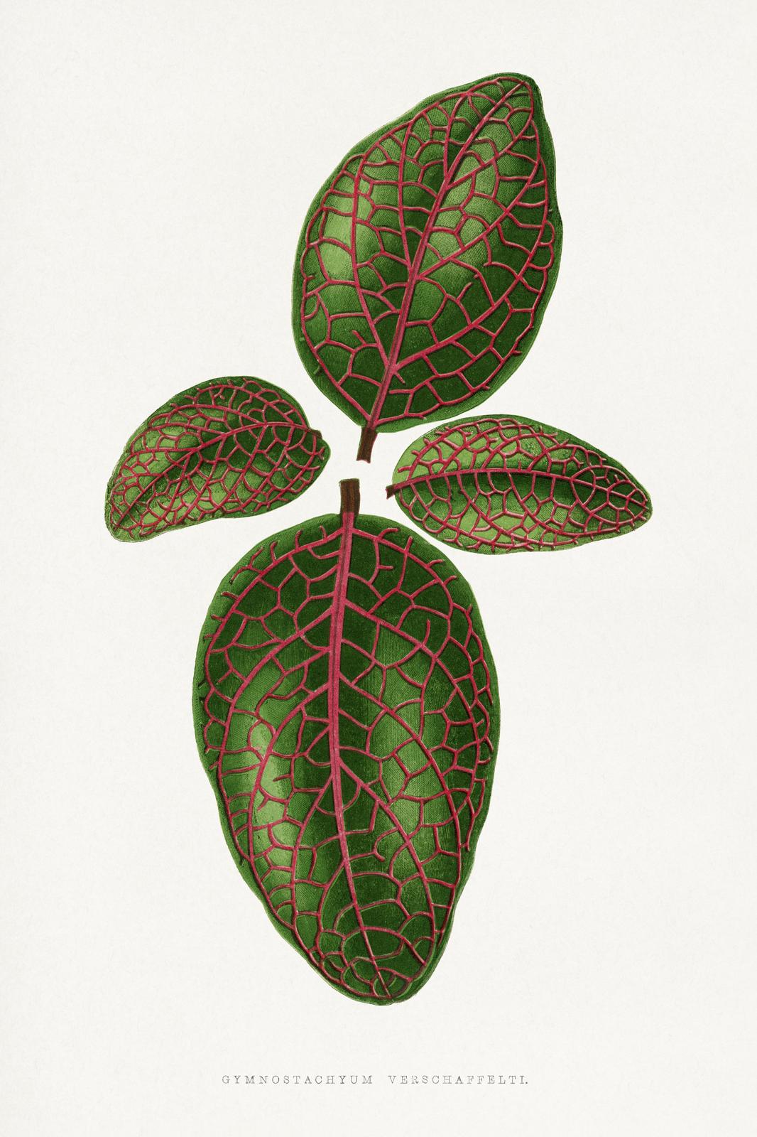 Vintage Green Leaf Botanical Wall Art
