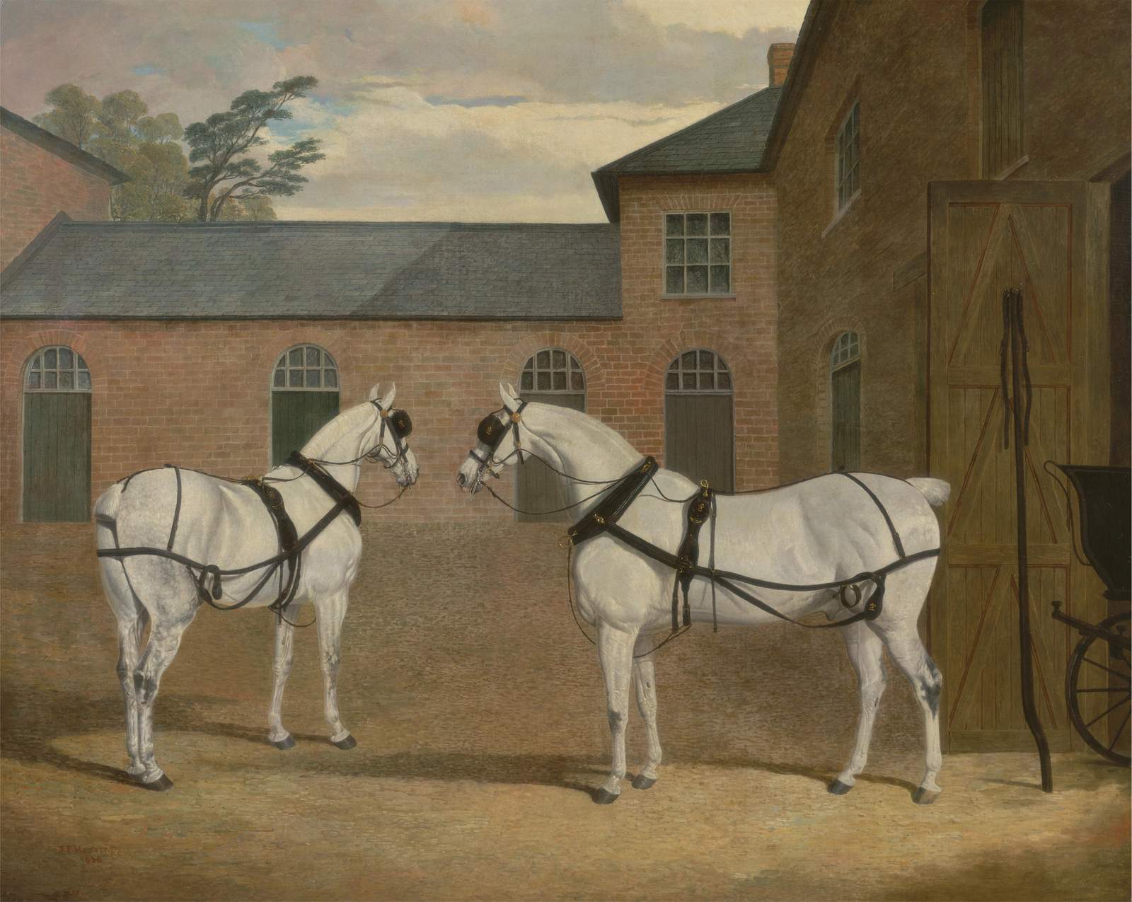 Elegant White Horses Stable Scene Wall Art