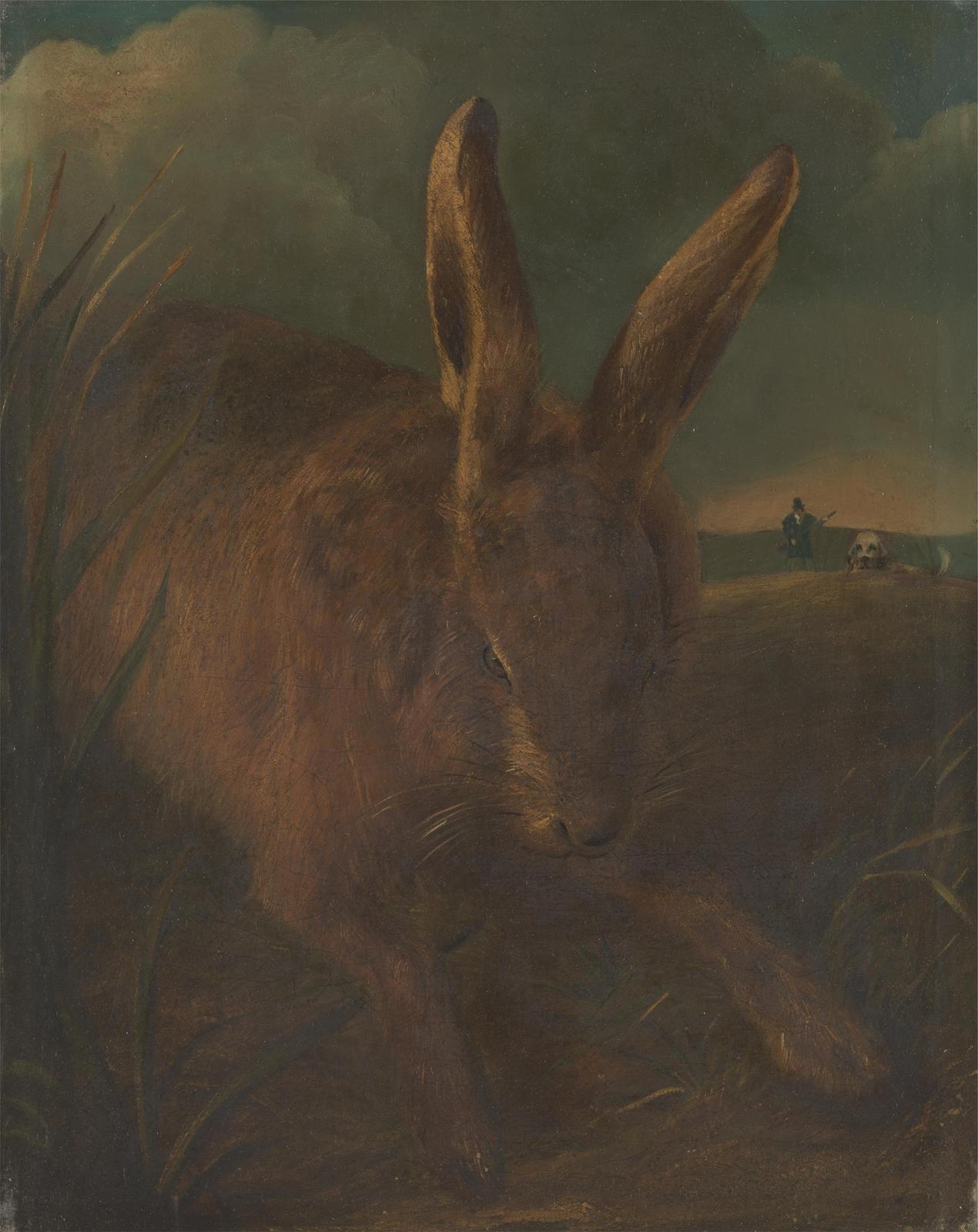 Vintage Hare in Field Wall Art