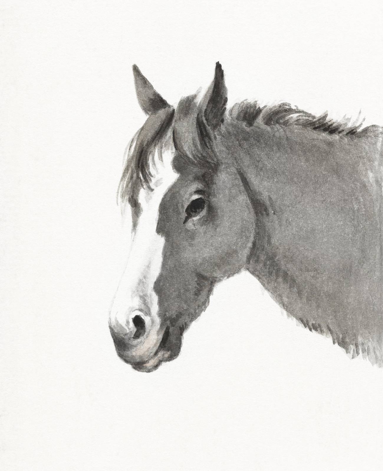 Elegant Horse Portrait Watercolor Wall Art