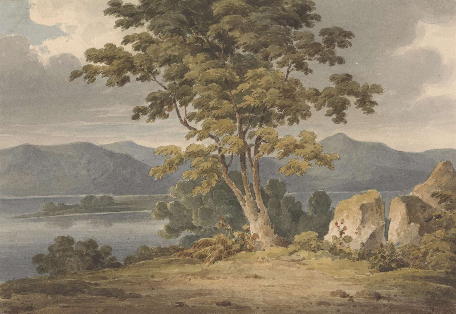 Tranquil Landscape Tree & Lake Wall Art