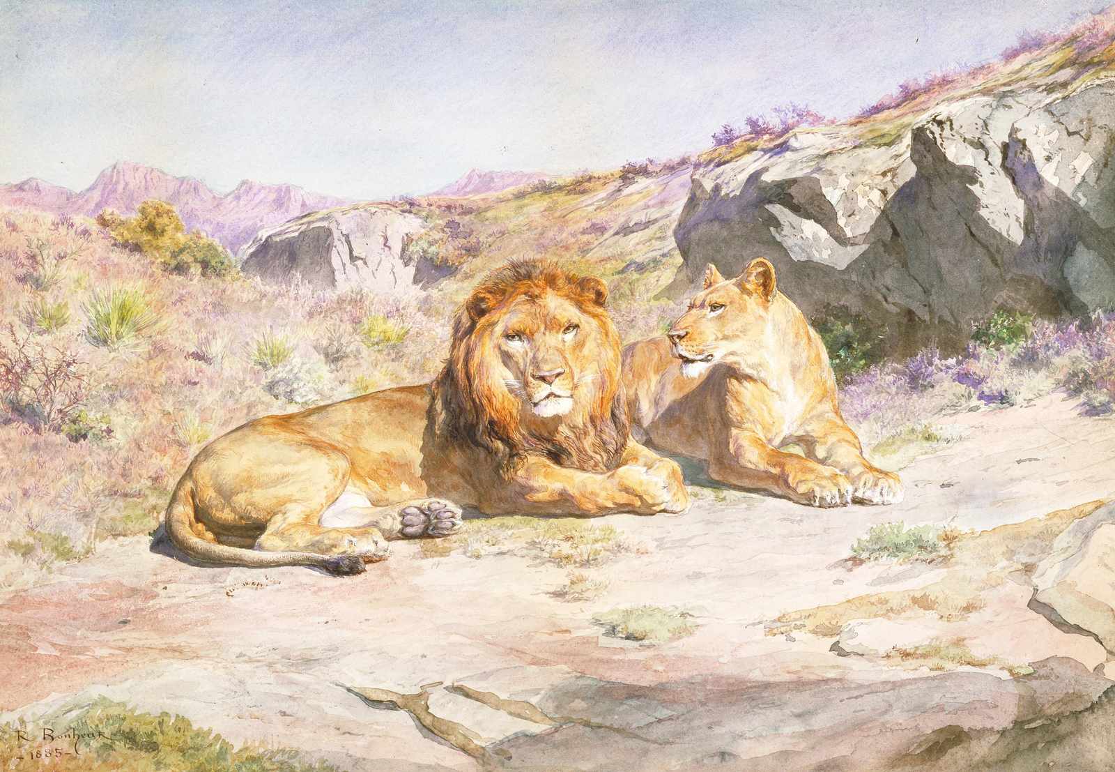 Majestic Lions African Wildlife Wall Art