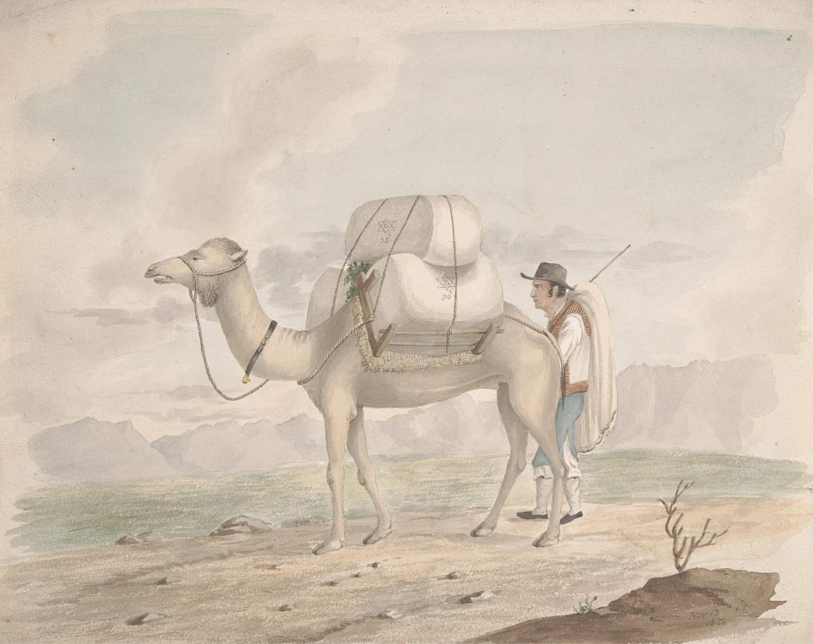 Vintage Camel Caravan Desert Landscape Wall Art