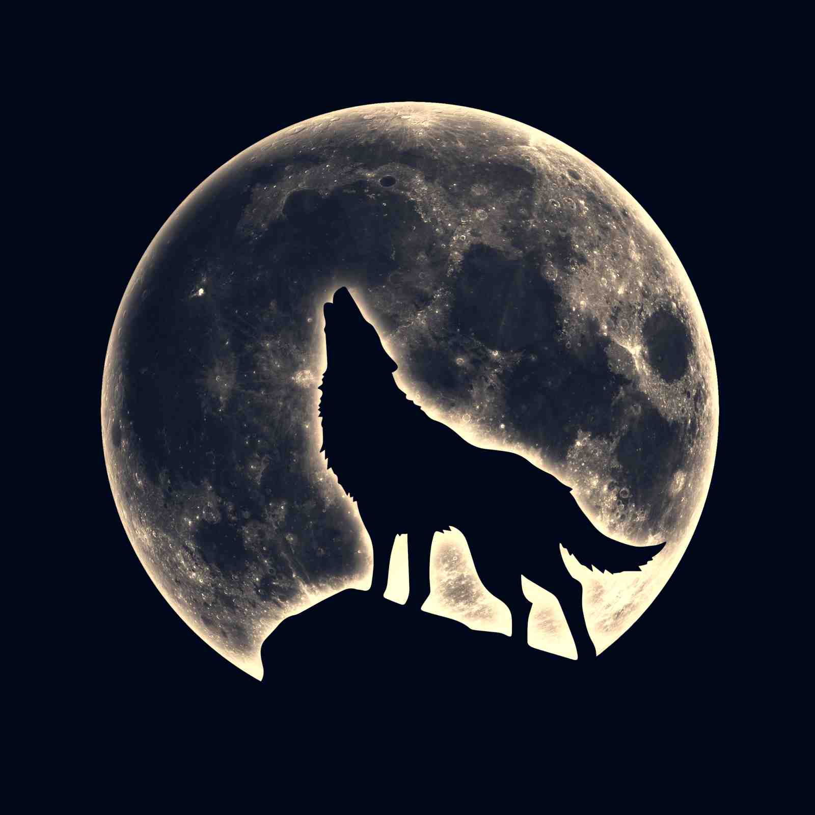 Majestic Wolf Moon Howl Wall Art