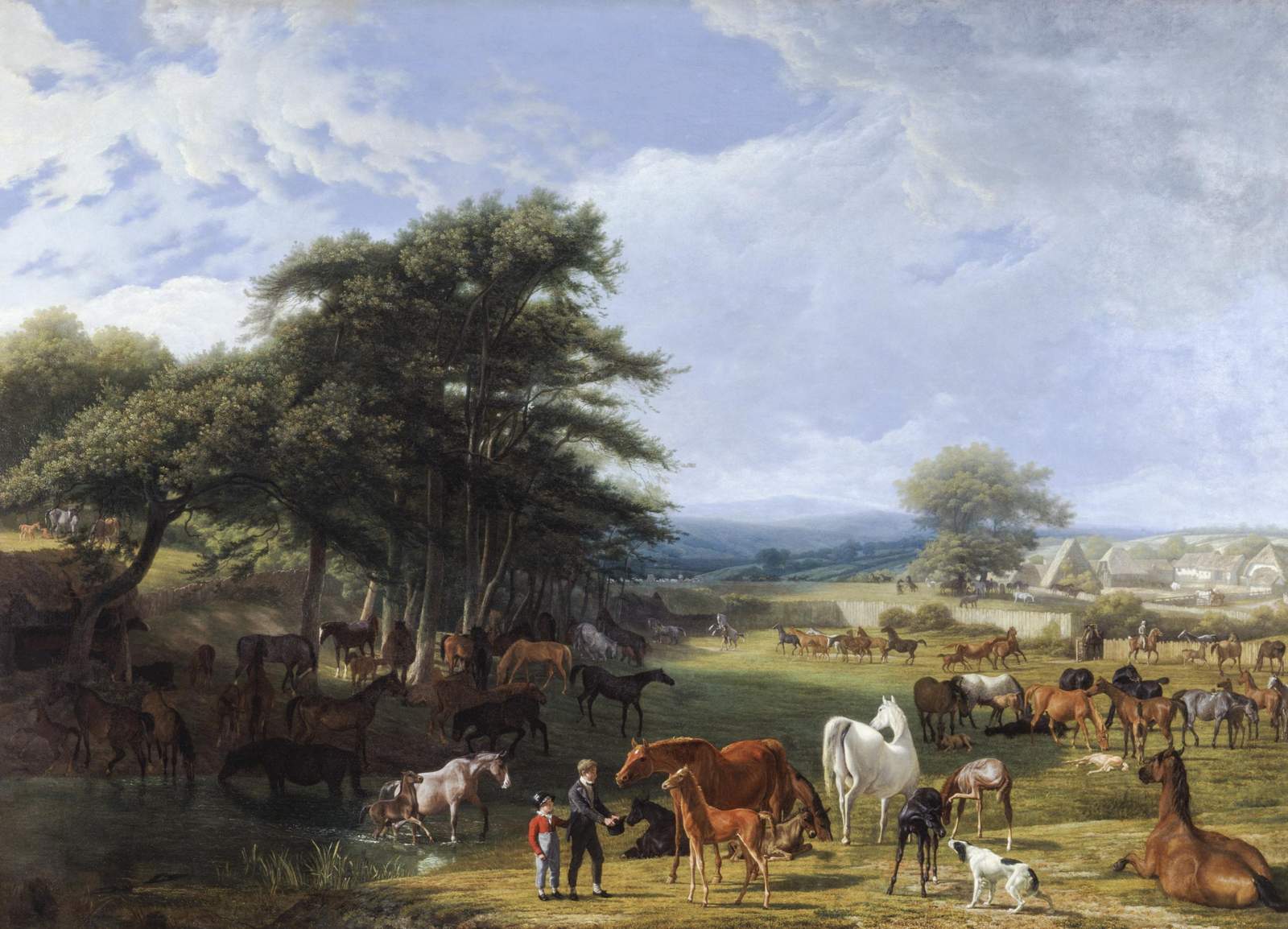 Majestic Horse Meadow Landscape Wall Art