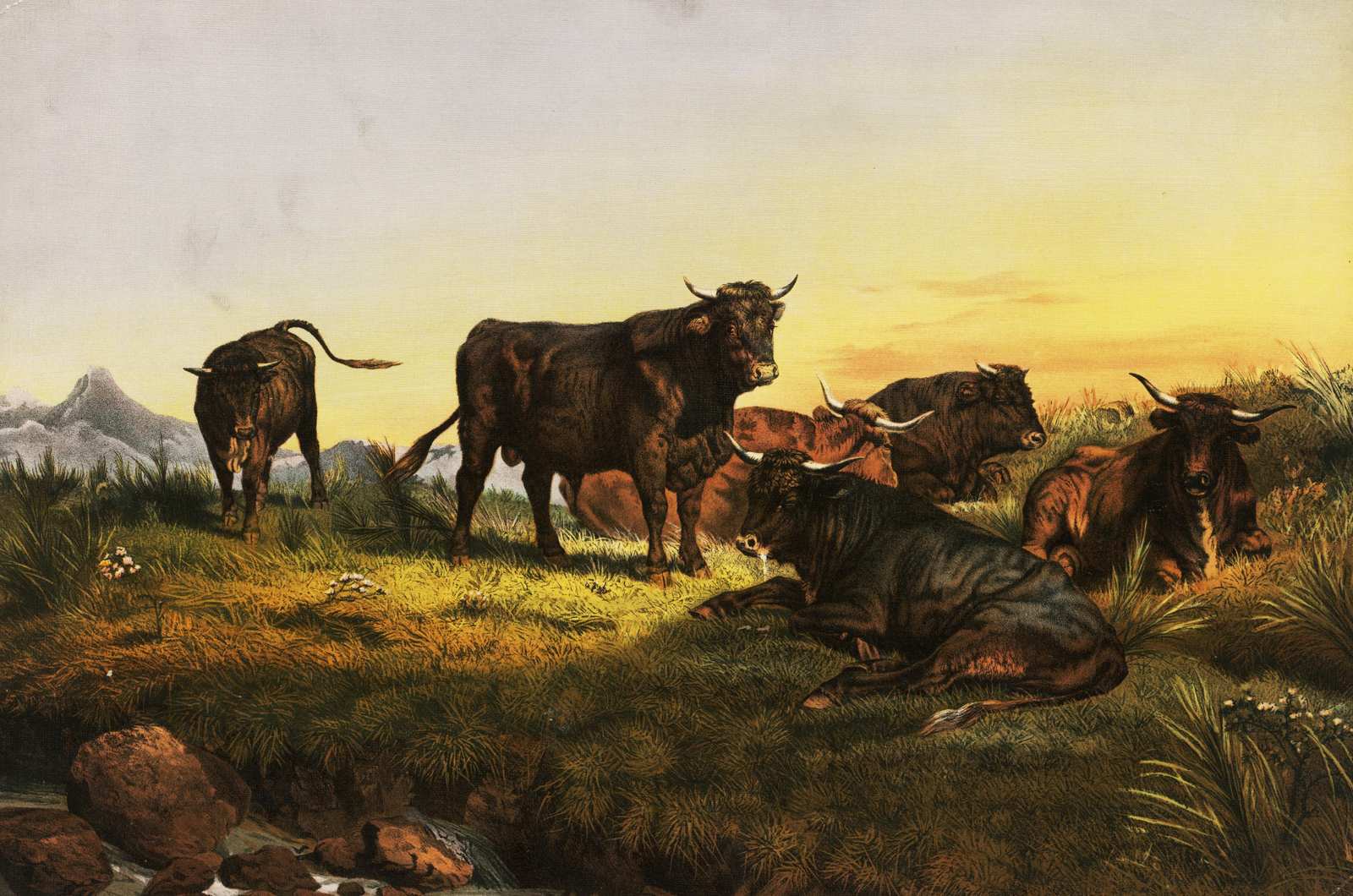 Majestic Bulls Serene Landscape Wall Art