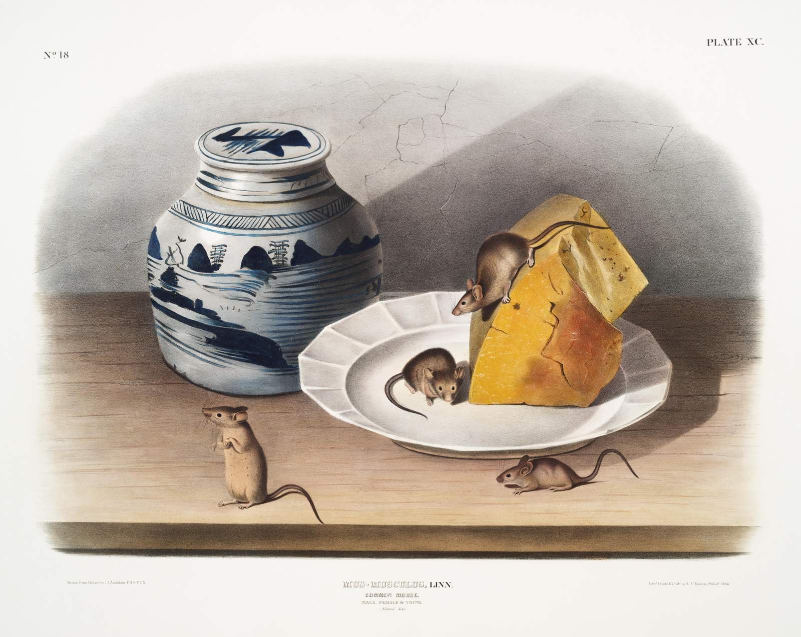 Charming Mice & Cheese Vintage Still Life Wall Art