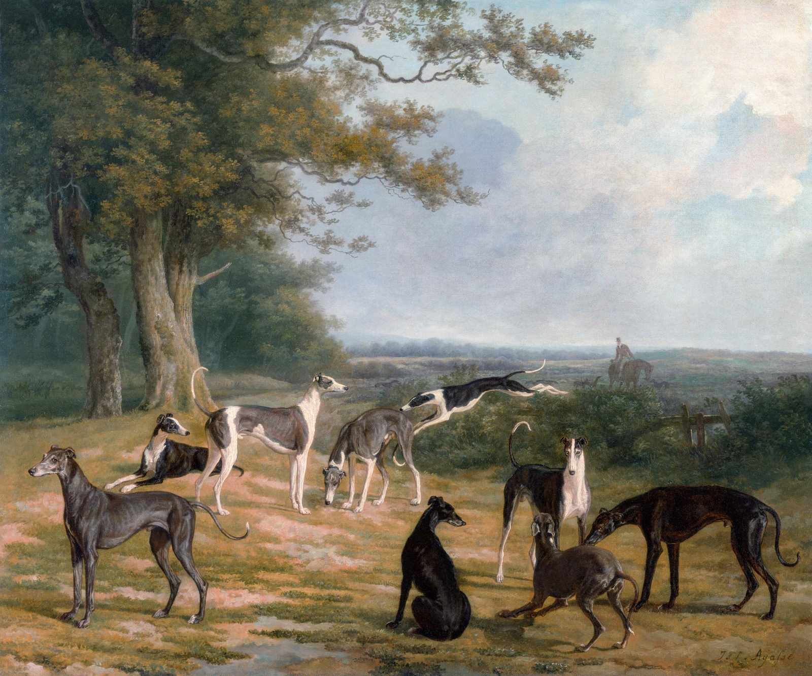 Elegant Greyhounds in Landscape Wall Art