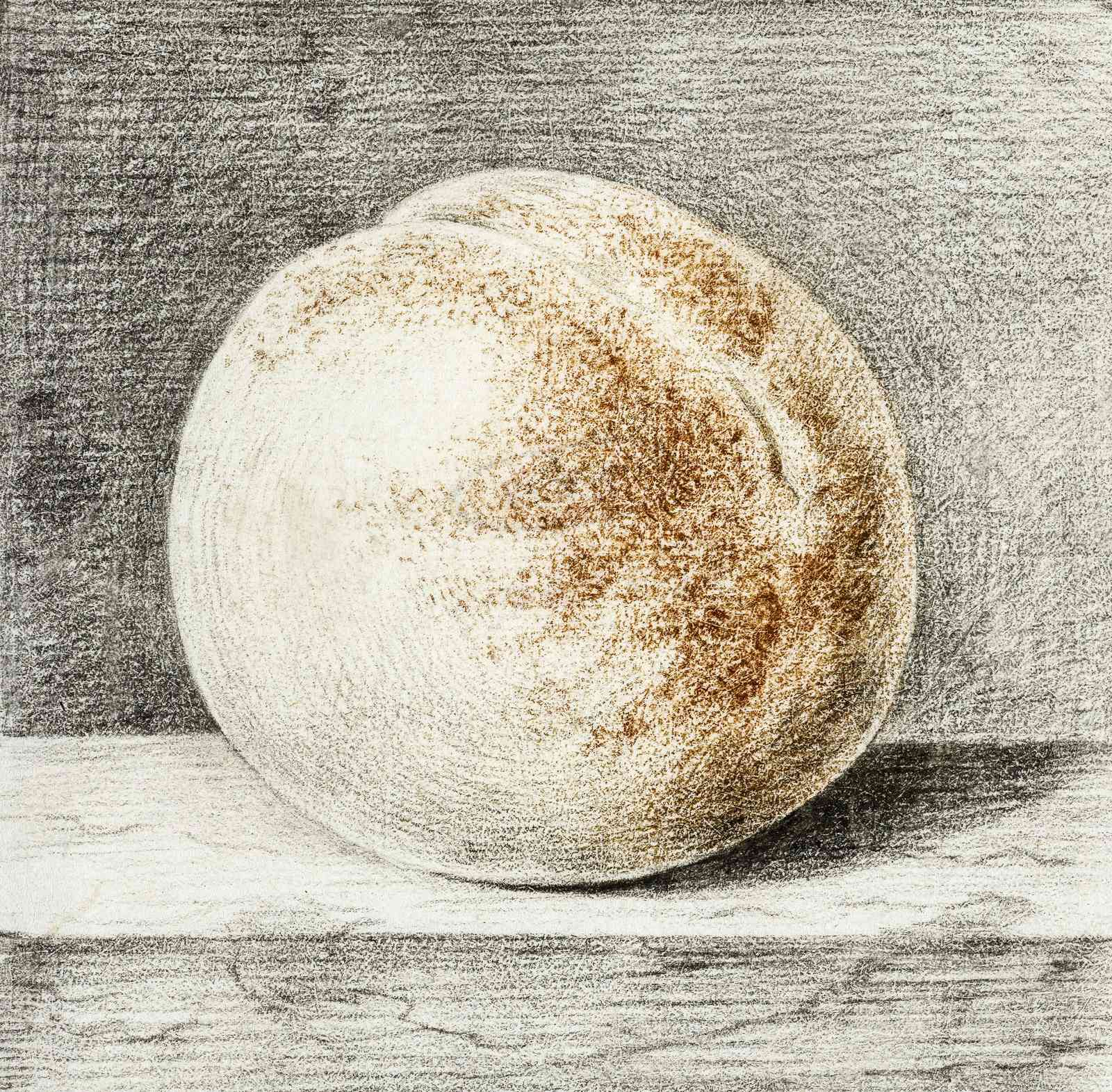 Elegant Peach Still Life Drawing Wall Art