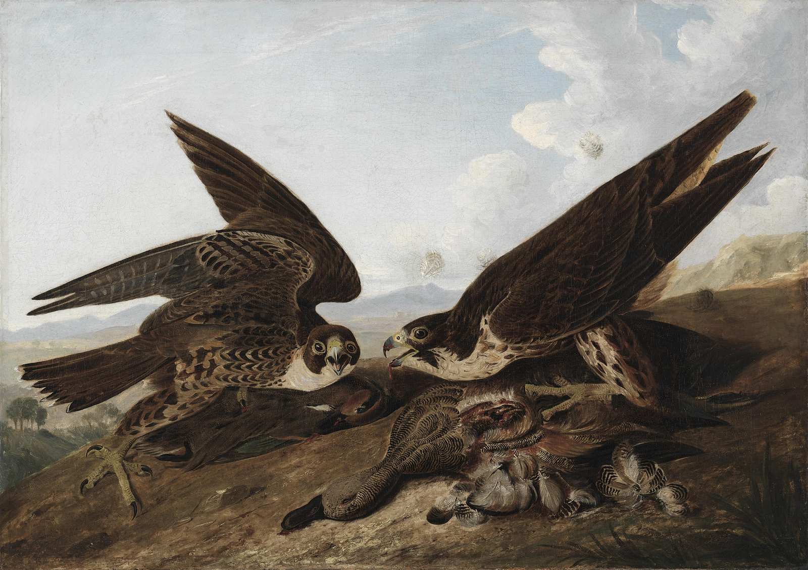 Majestic Falcons Hunting Scene Wall Art
