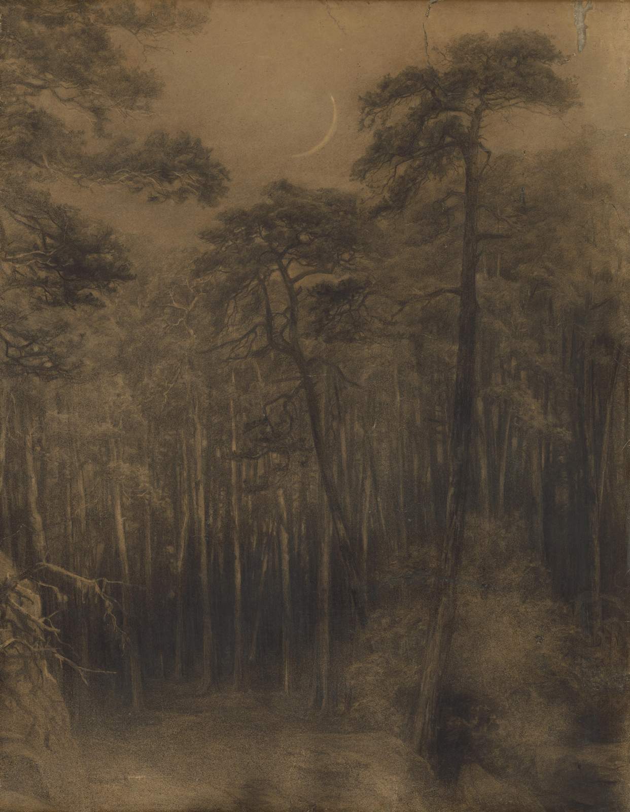 Mystical Moonlit Forest Landscape Wall Art