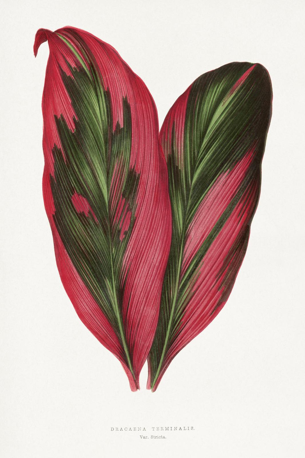 Vibrant Tropical Leaves Botanical Wall Art