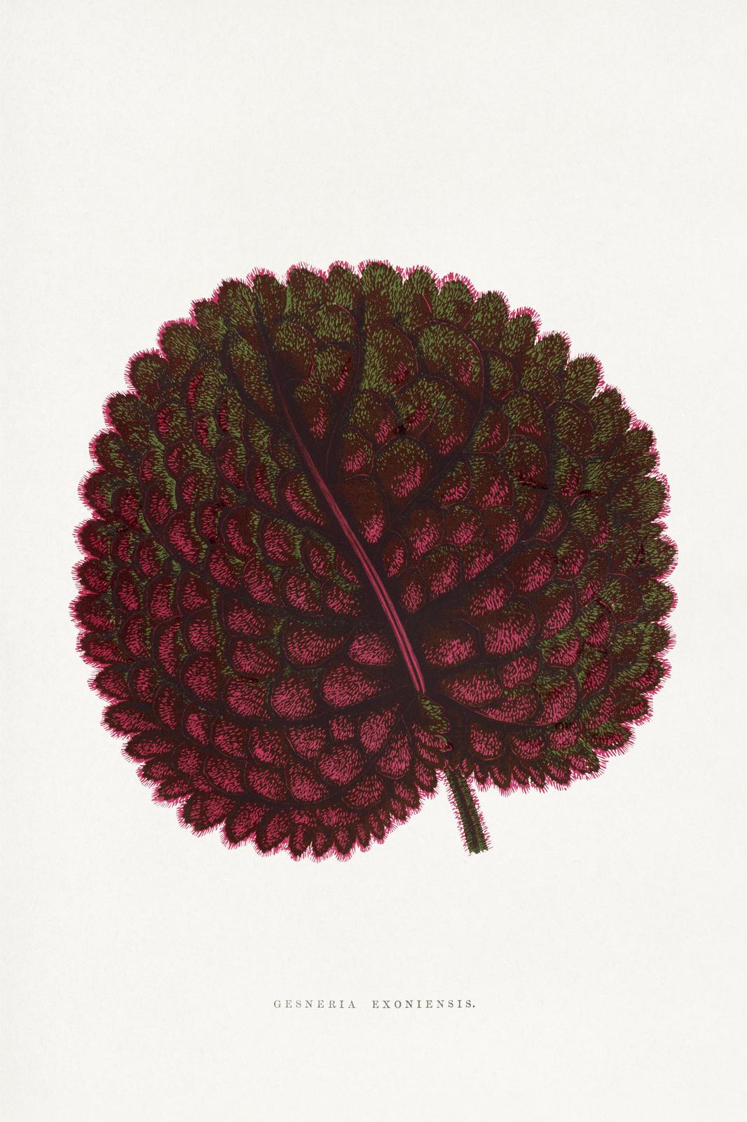 Vintage Botanical Leaf Art Wall Art