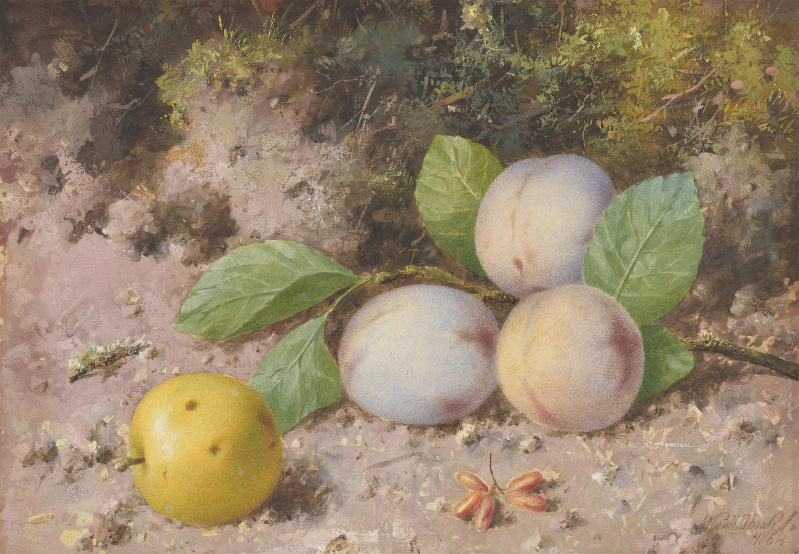Still Life Fruits on Earth Wall Art