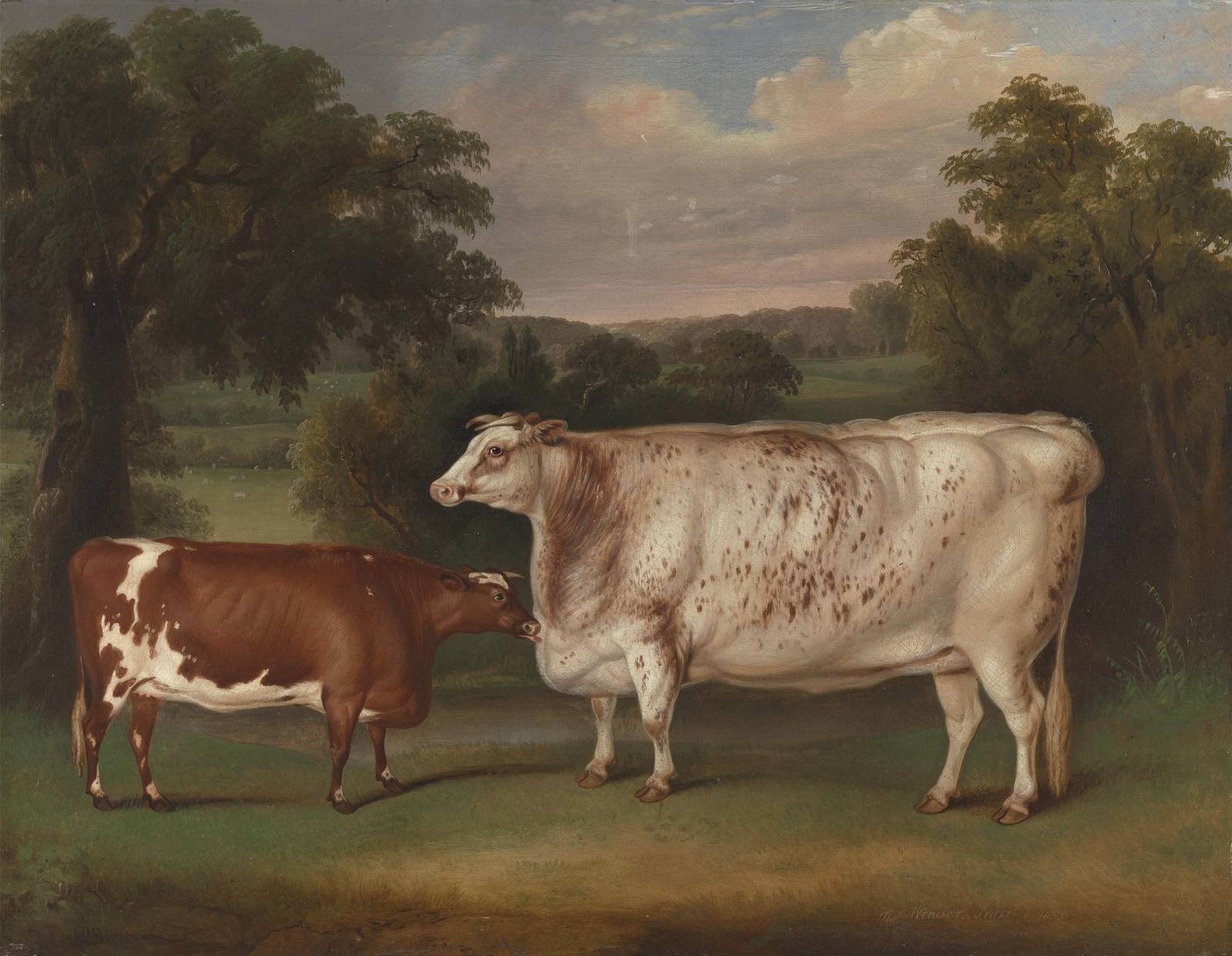 Pastoral Cow & Calf Landscape Wall Art