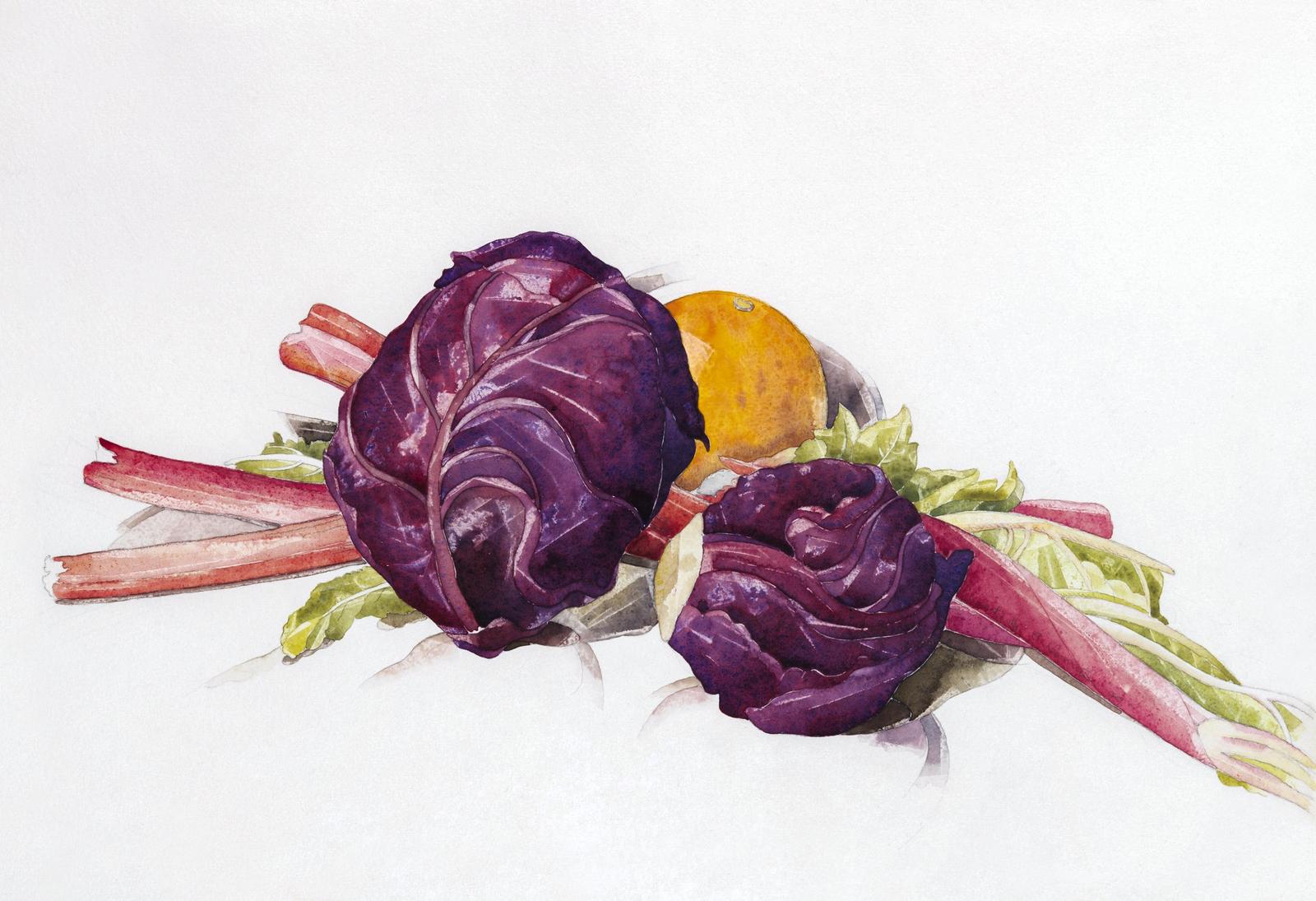 Vibrant Radish & Rhubarb Still Life Wall Art