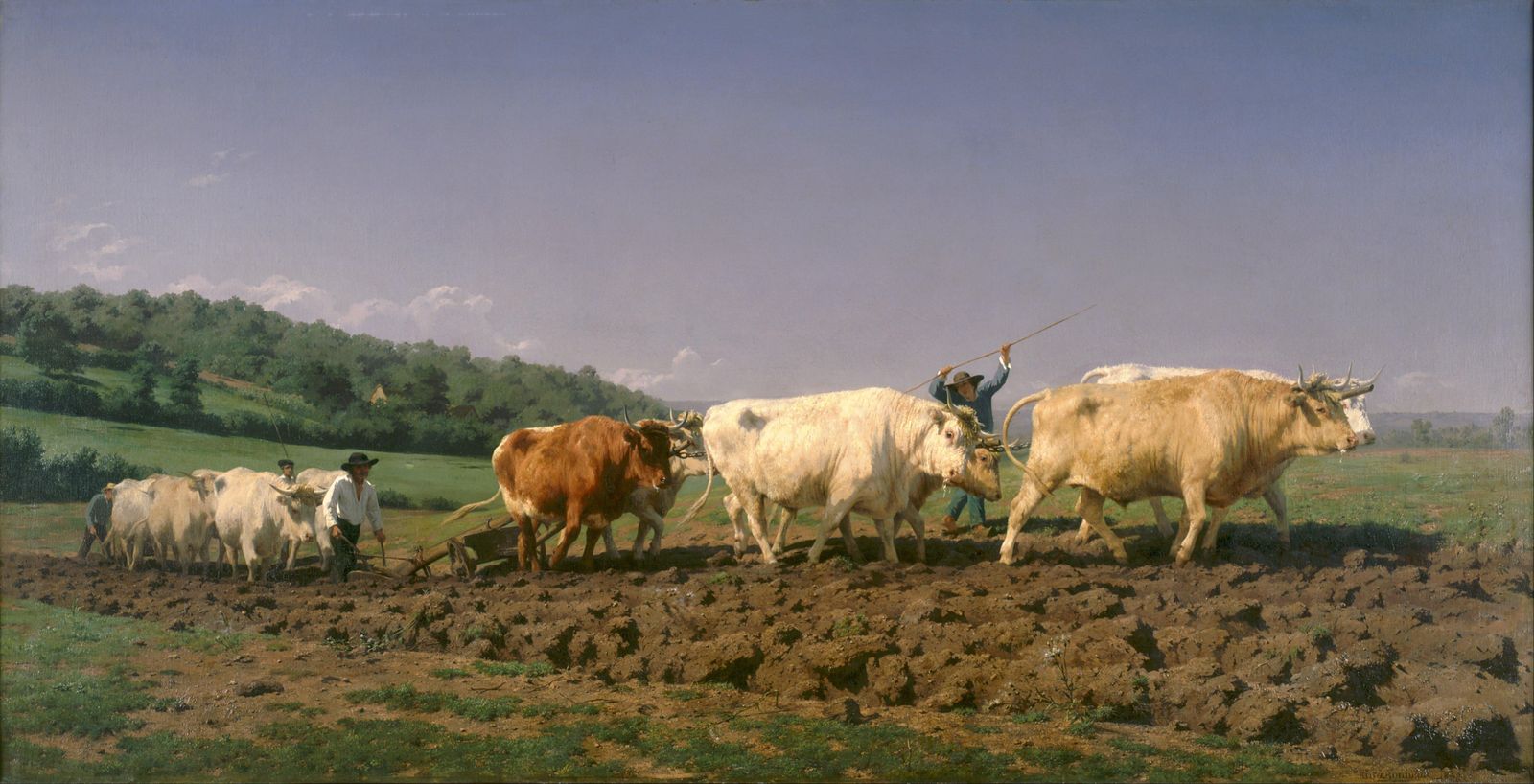 Oxen Plowing Rural Landscape Wall Art