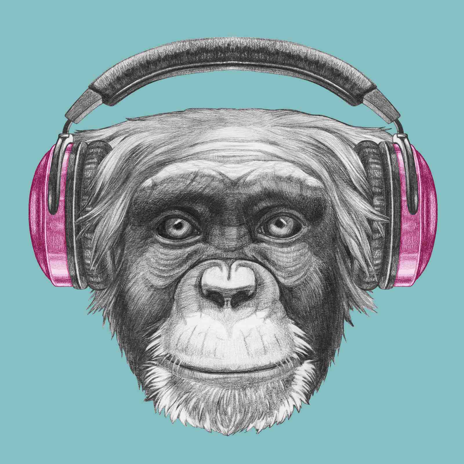 Cool Chimpanzee with Headphones Wall Art